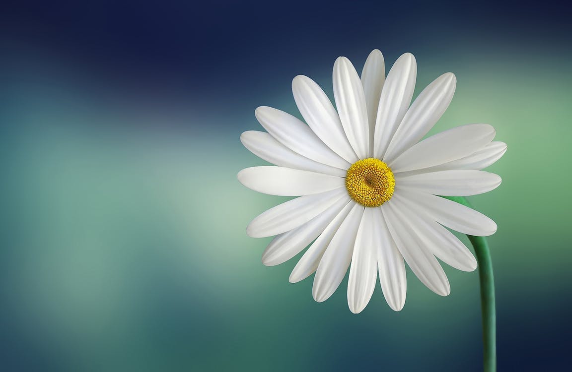Profile picture of Haider