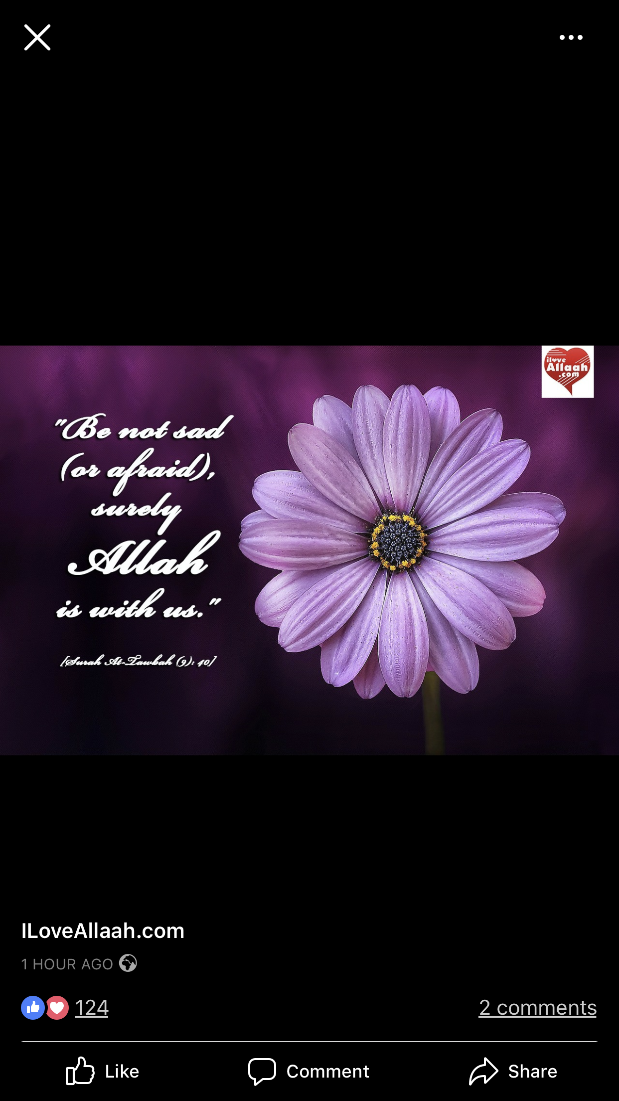 Profile picture of Muslimah