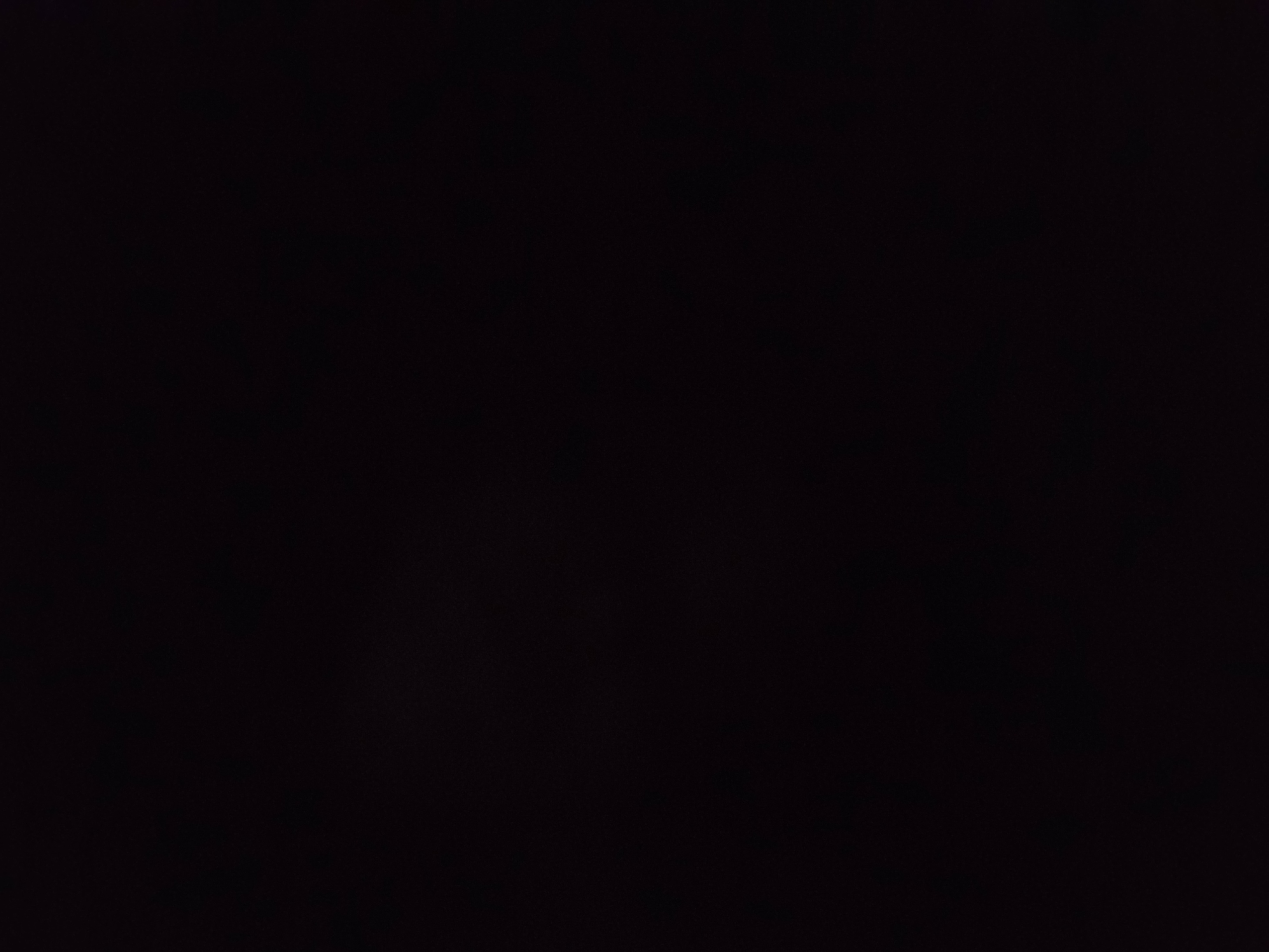 Profile picture of Miss S