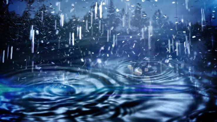 Profile picture of Yasmin Khan