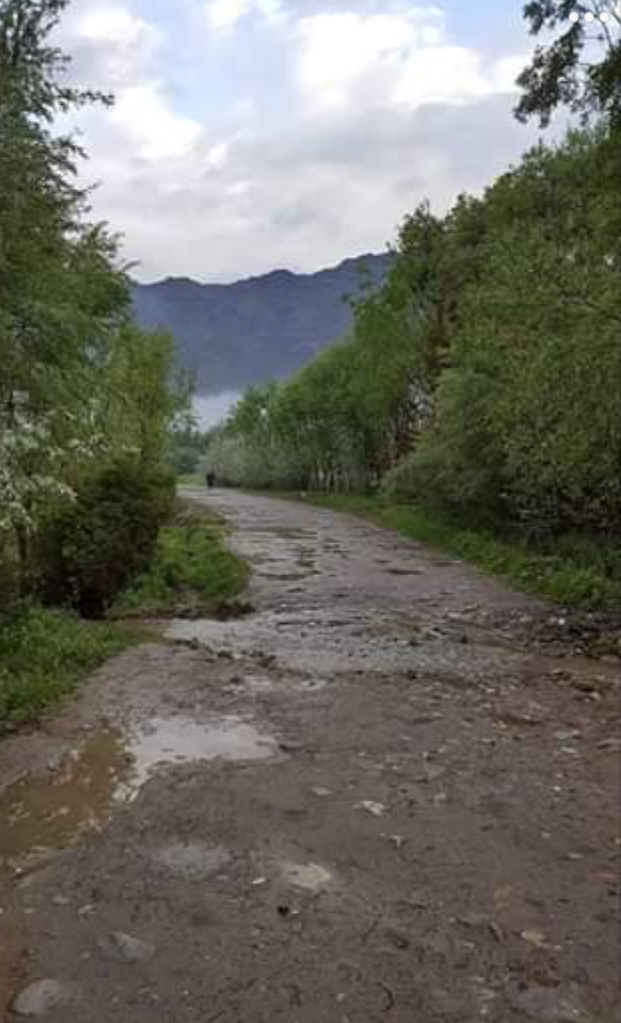 Profile picture of Ahmed