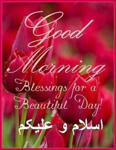 Profile picture of Rahma Issa Mohamed