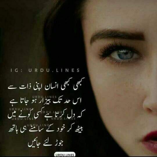 Profile picture of Saadi