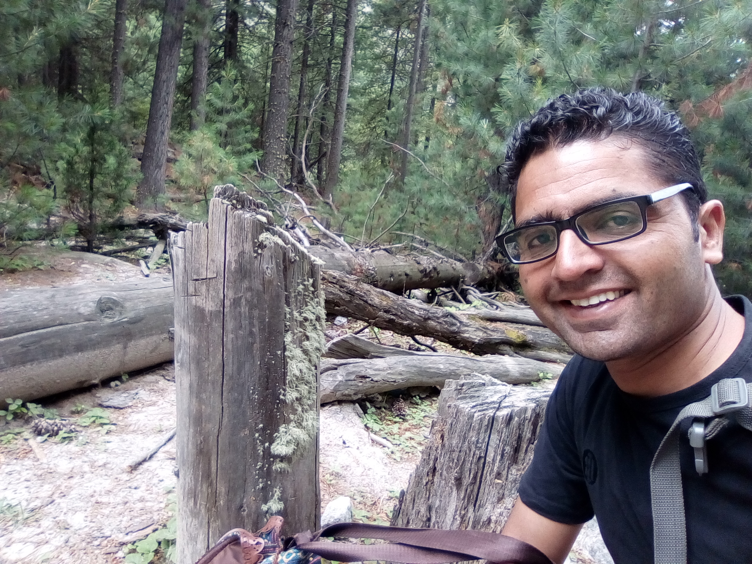 Profile picture of Syedd