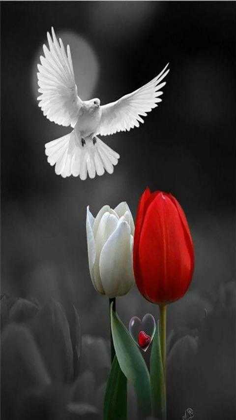 Profile picture of Only arain family contact with me