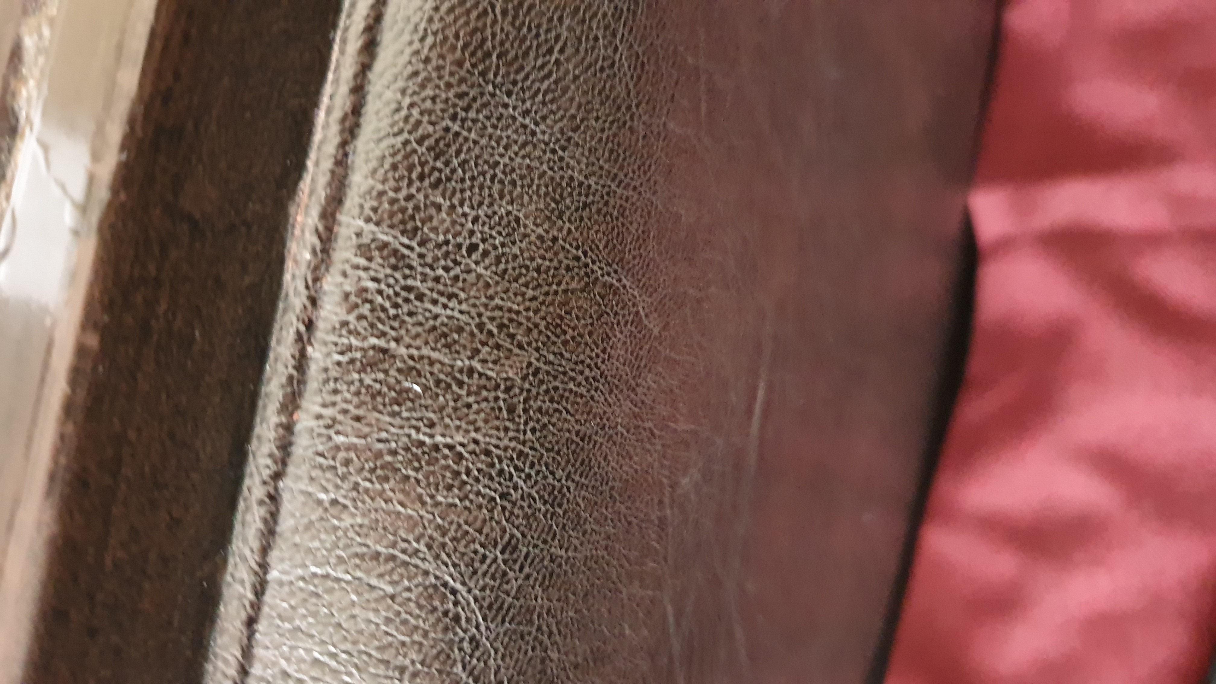 Profile picture of Raks khan