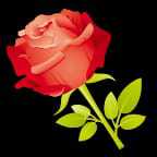 Profile picture of ABC