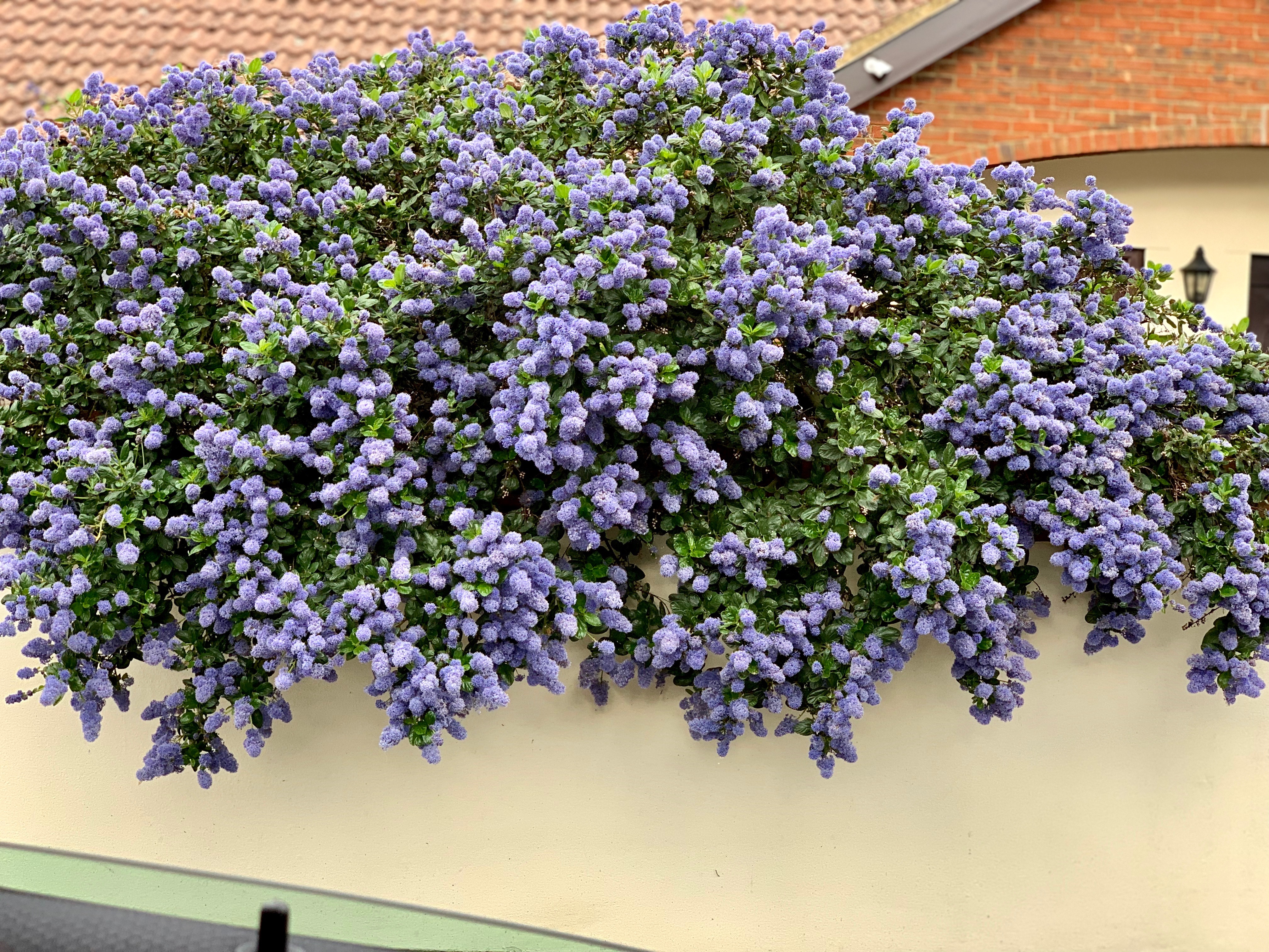 Profile picture of Pursuing PhD in India