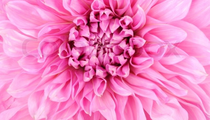 Profile picture of Miss