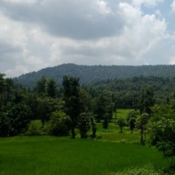 Profile picture of Deen first