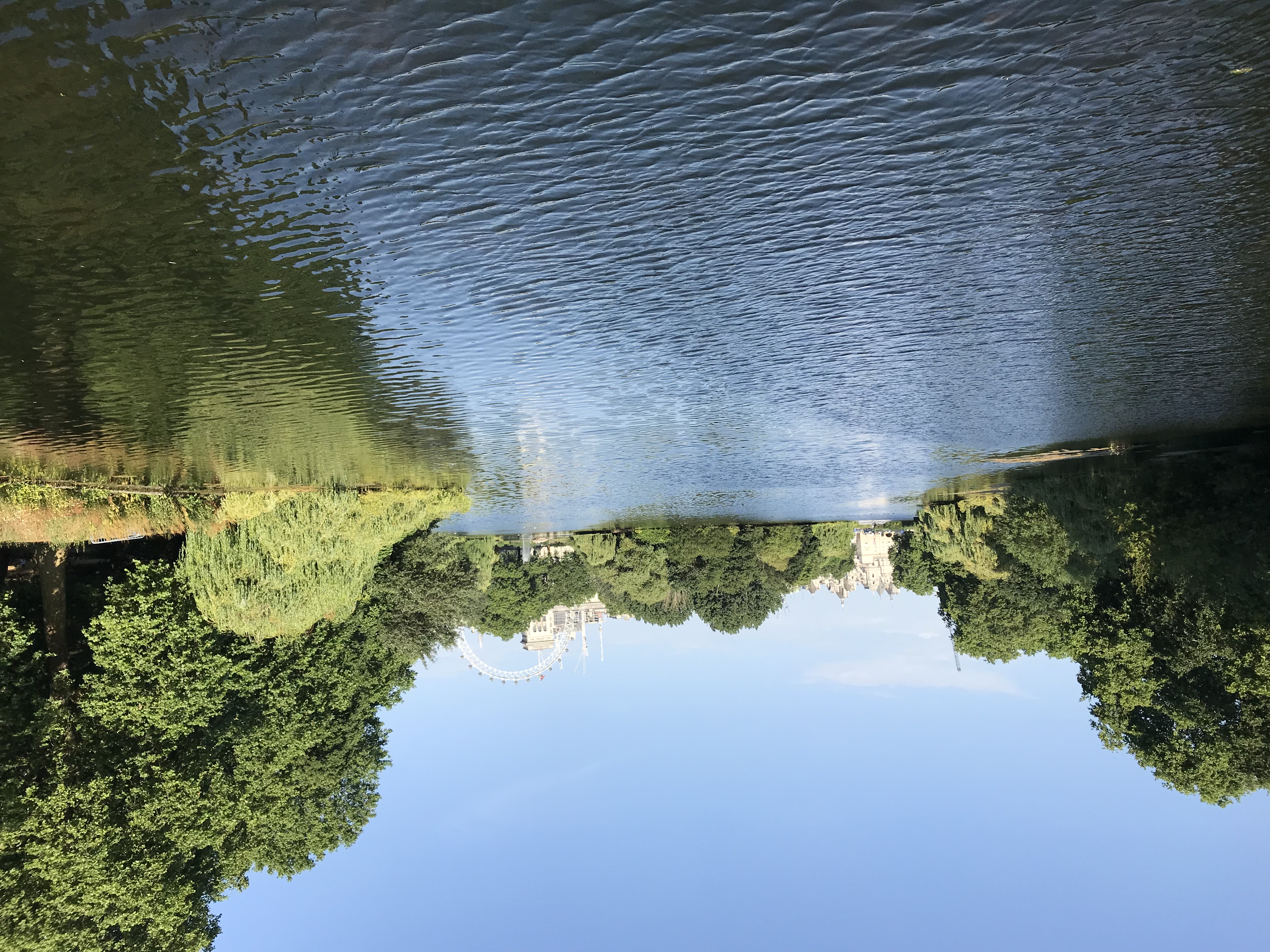 Profile picture of Yes