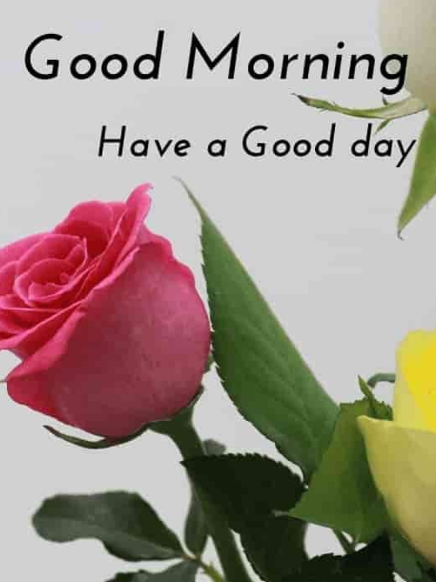 Profile picture of Tehmina