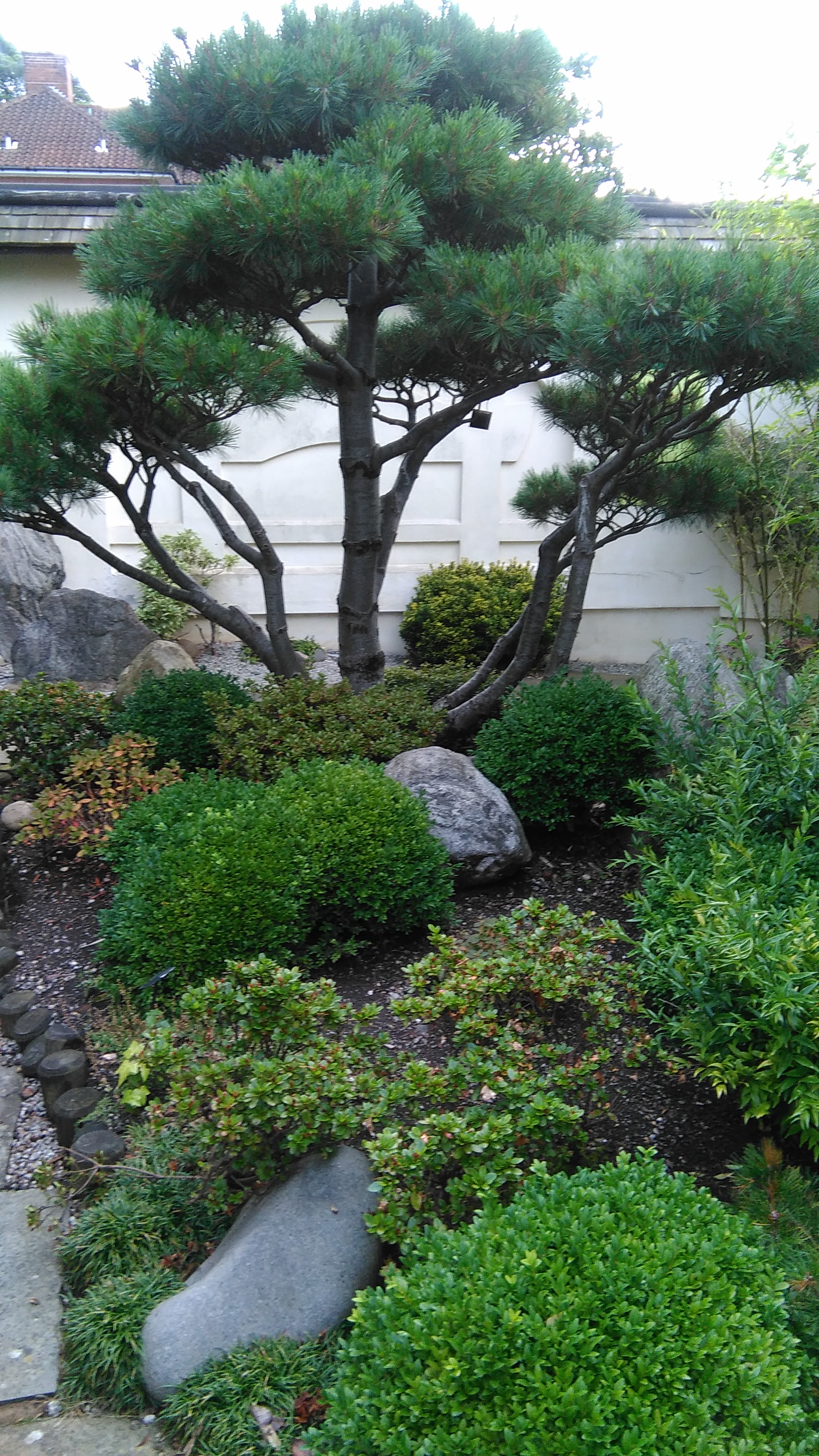 Profile picture of Miss Begum