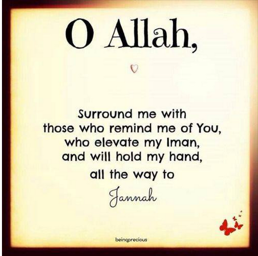 Profile picture of Shazia Yaseen