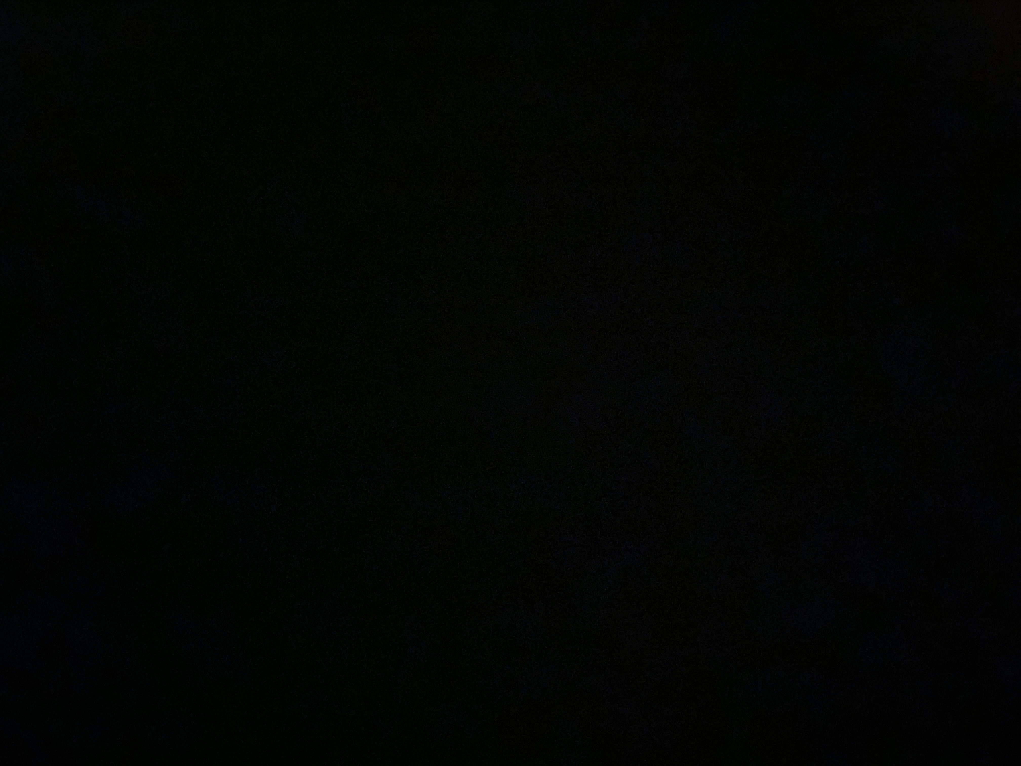 Profile picture of Aneesa