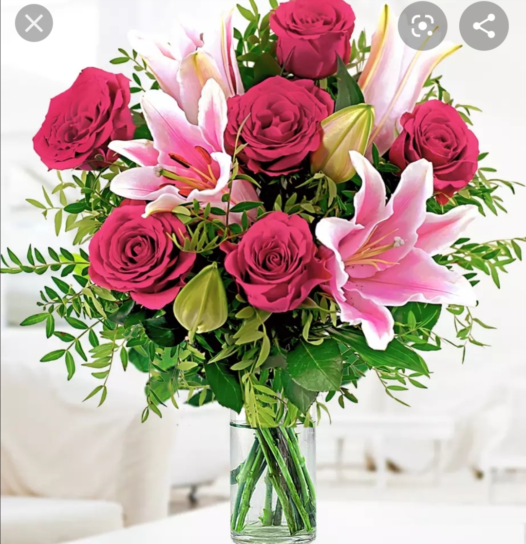 Profile picture of Sibling