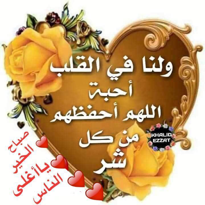 Profile picture of Faisa