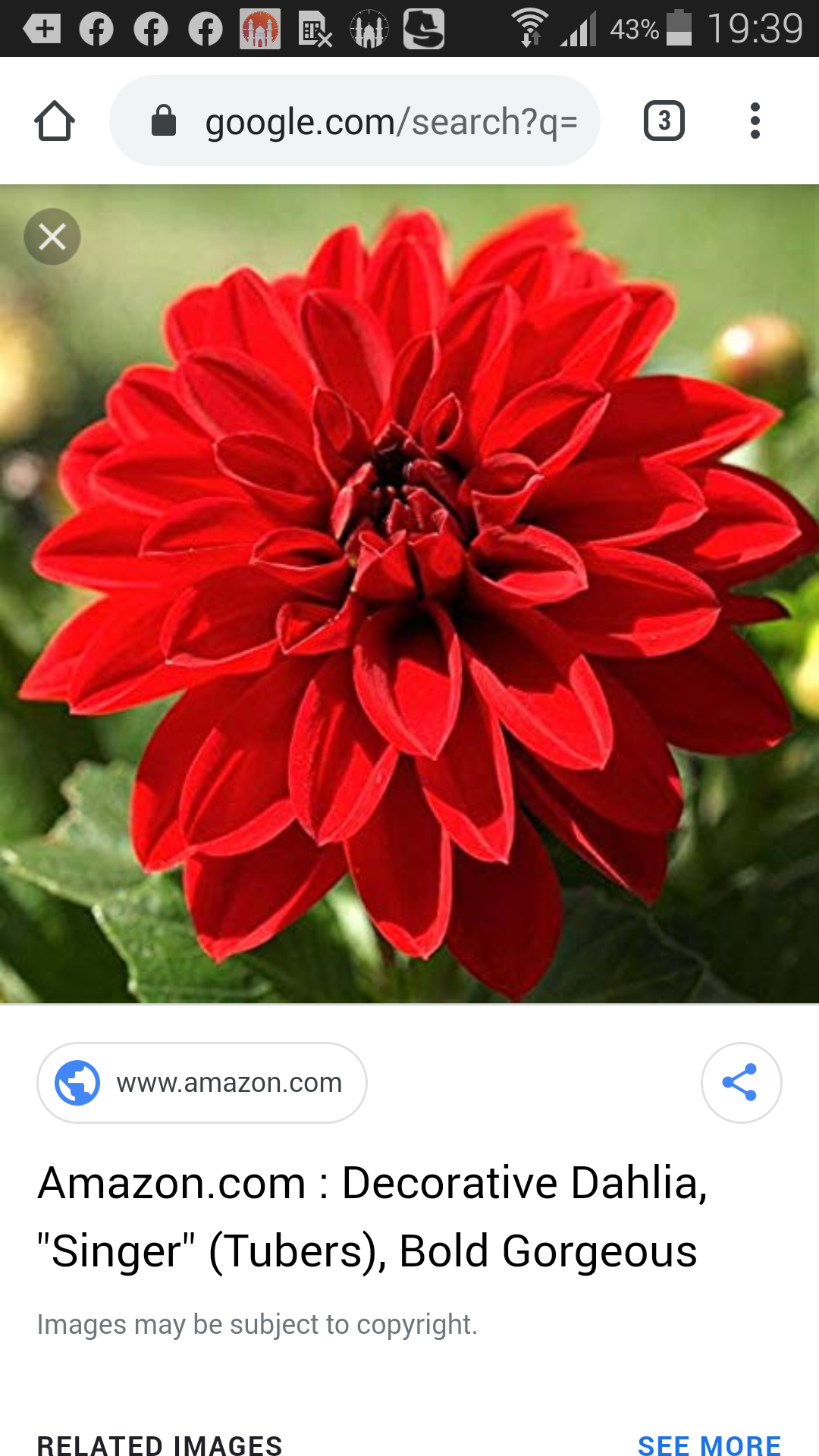 Profile picture of Annie