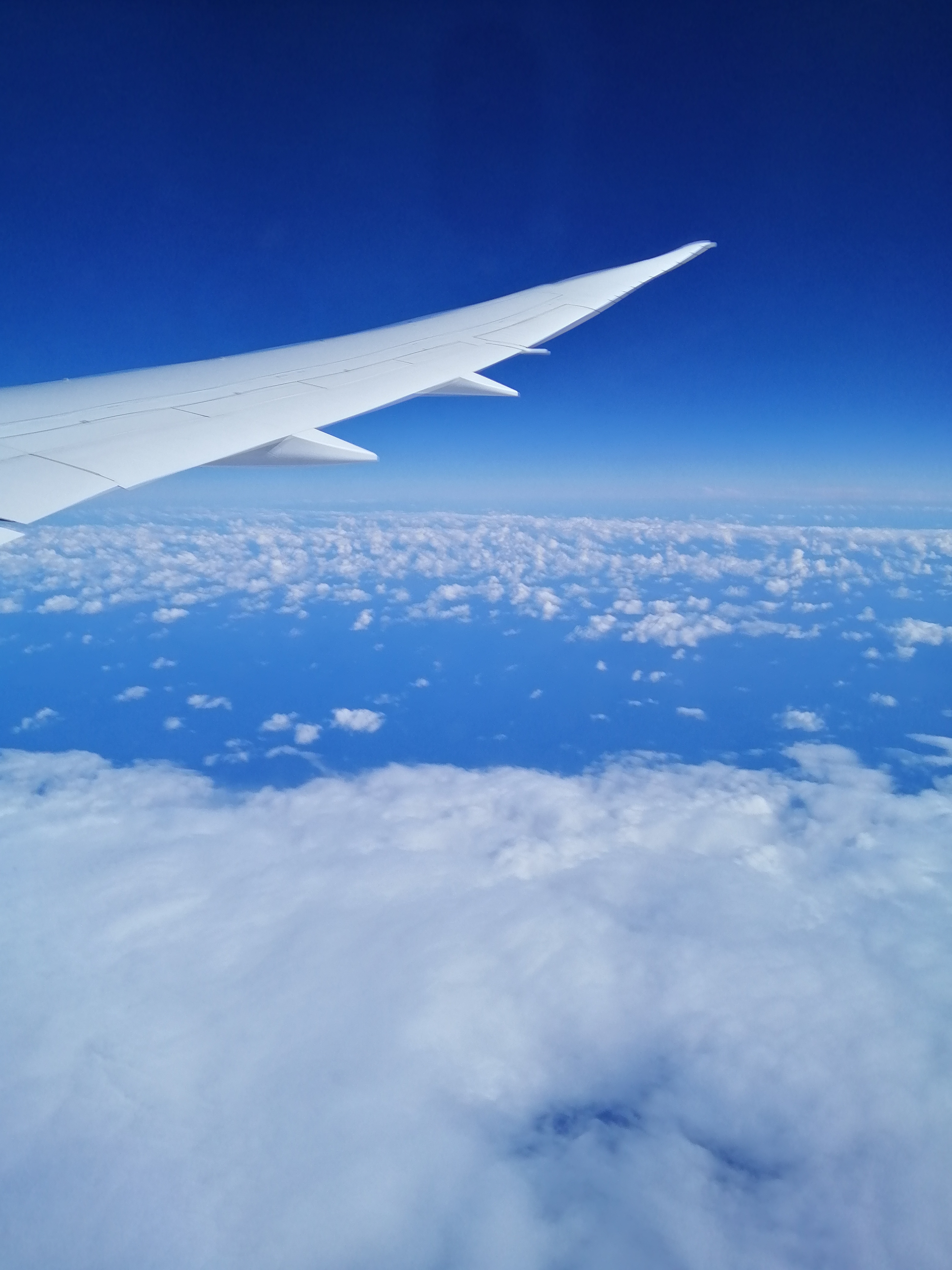 Profile picture of S Anum