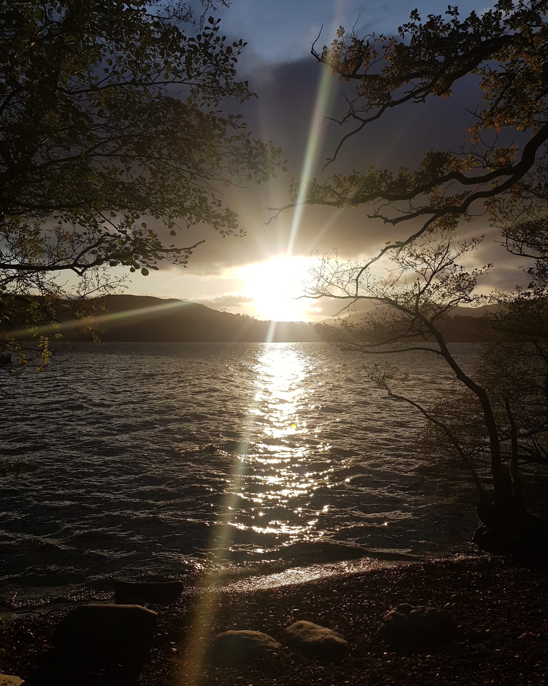 Profile picture of AAA