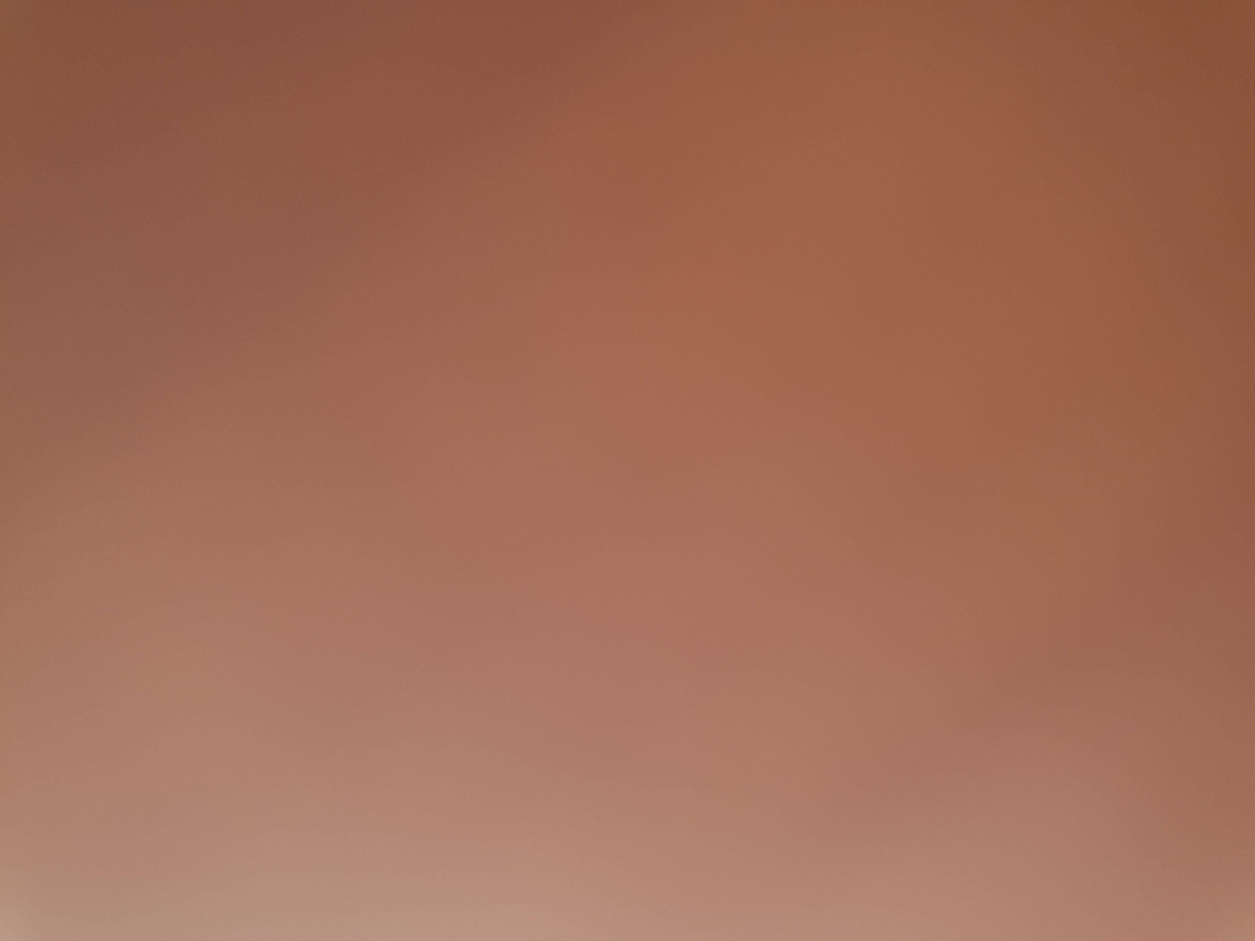 Profile picture of Afzal