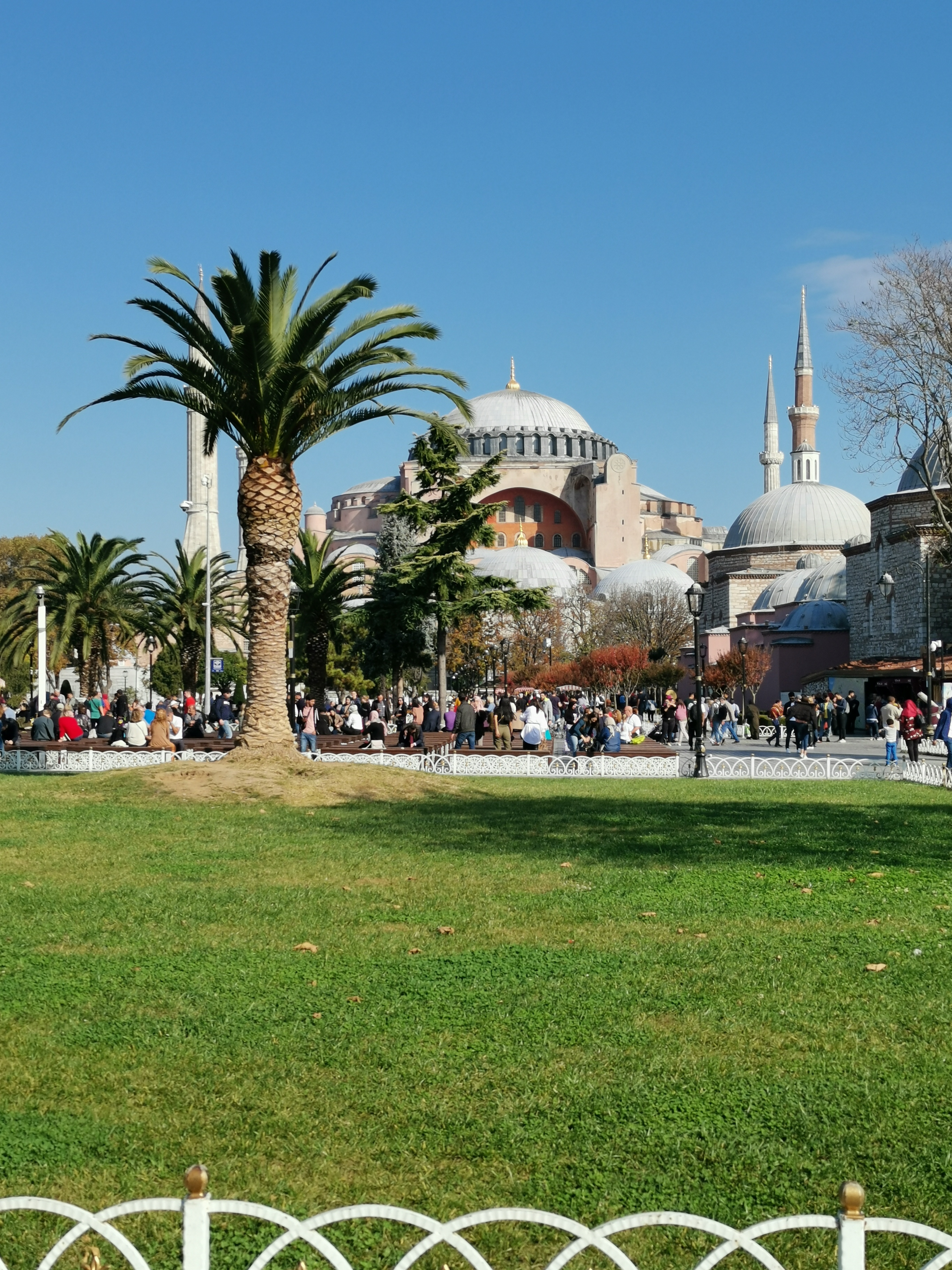 Profile picture of Saif