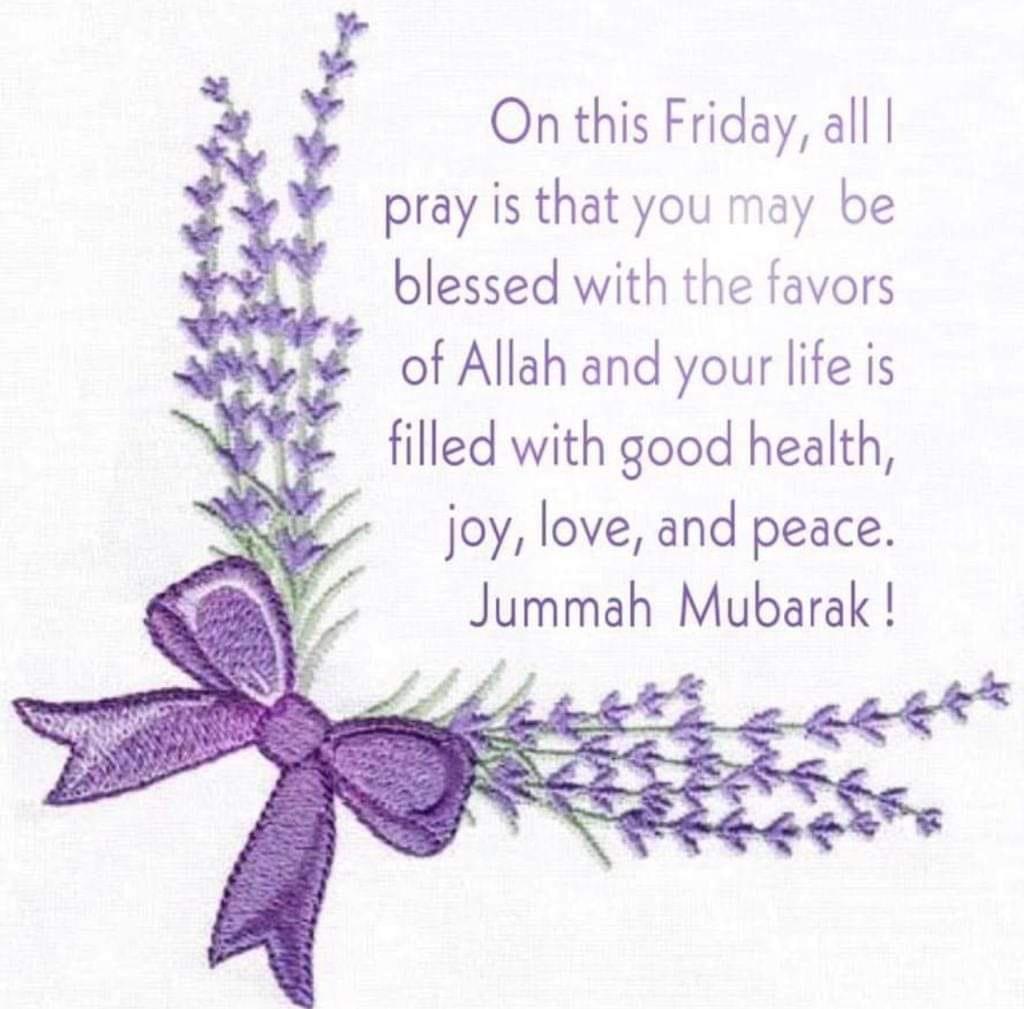 Profile picture of Shoaib