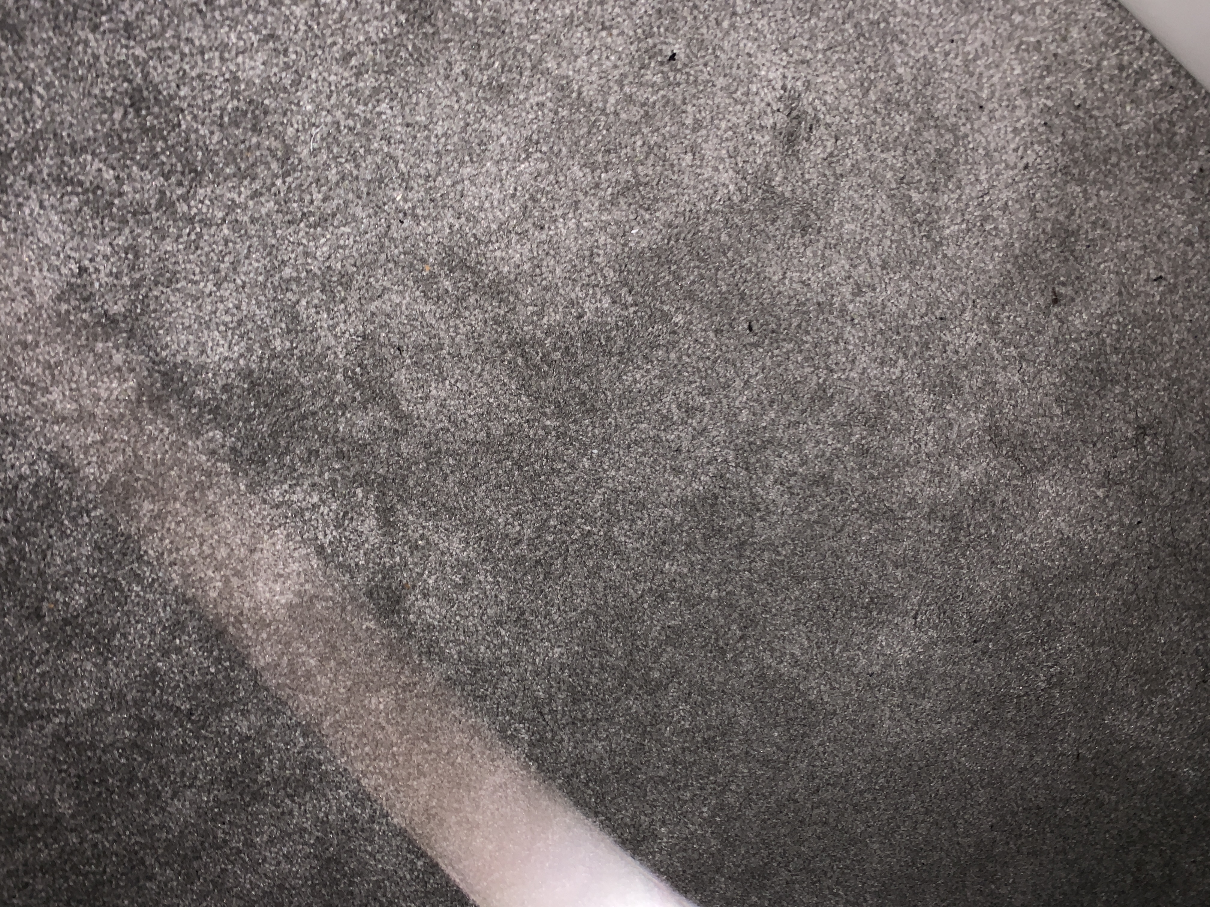 Profile picture of Umm Aisha