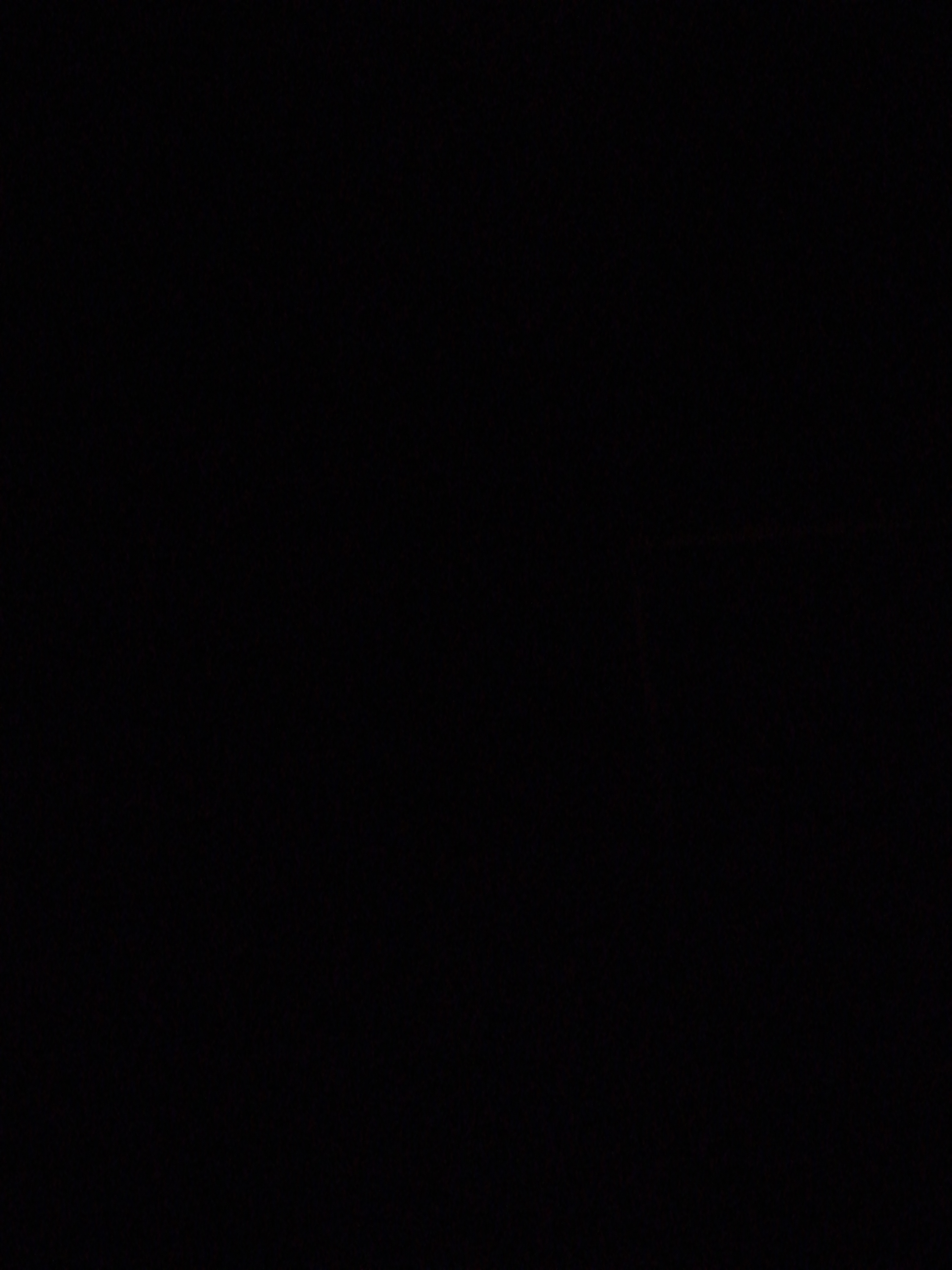 Profile picture of Widdy