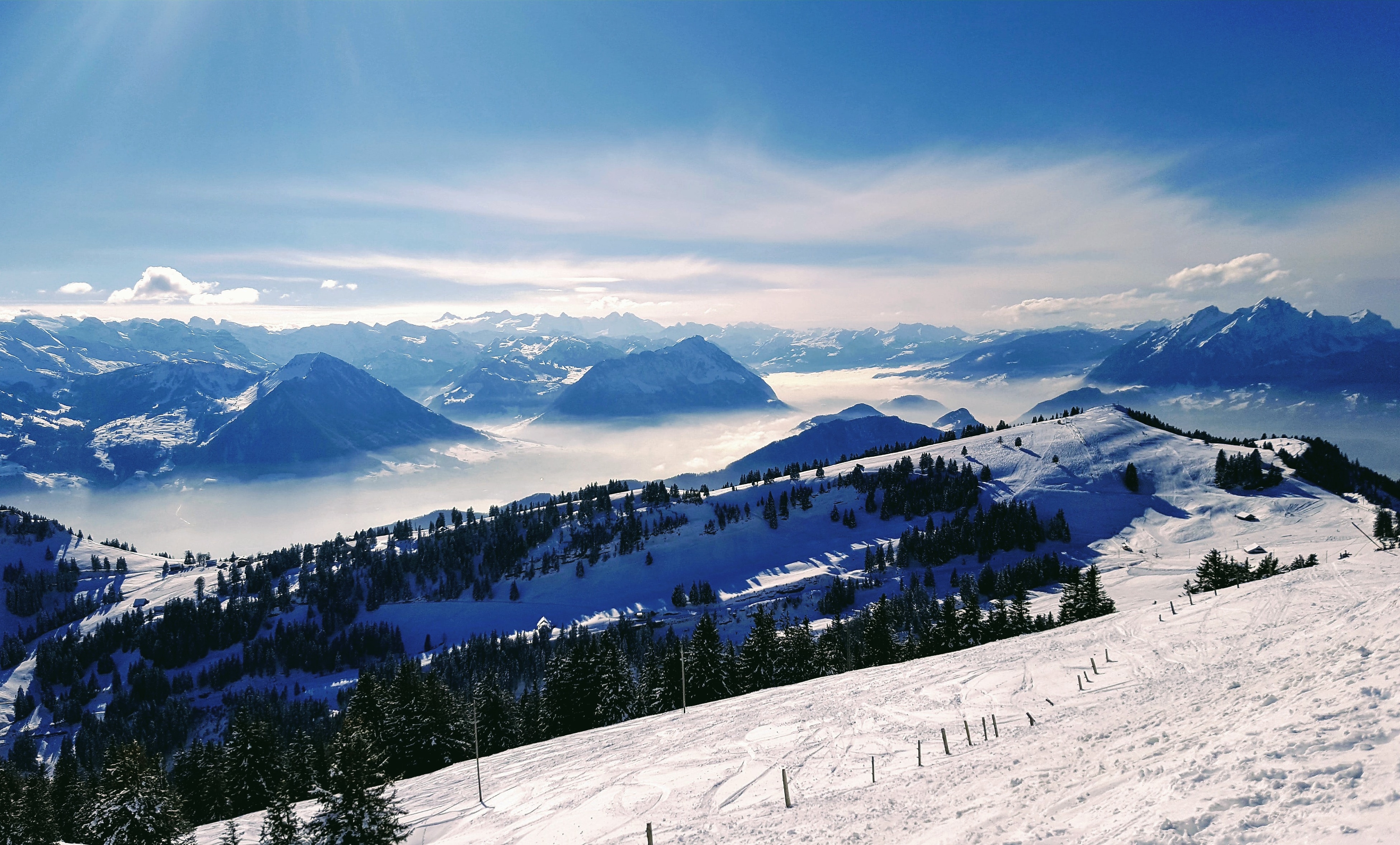 Profile picture of D K M