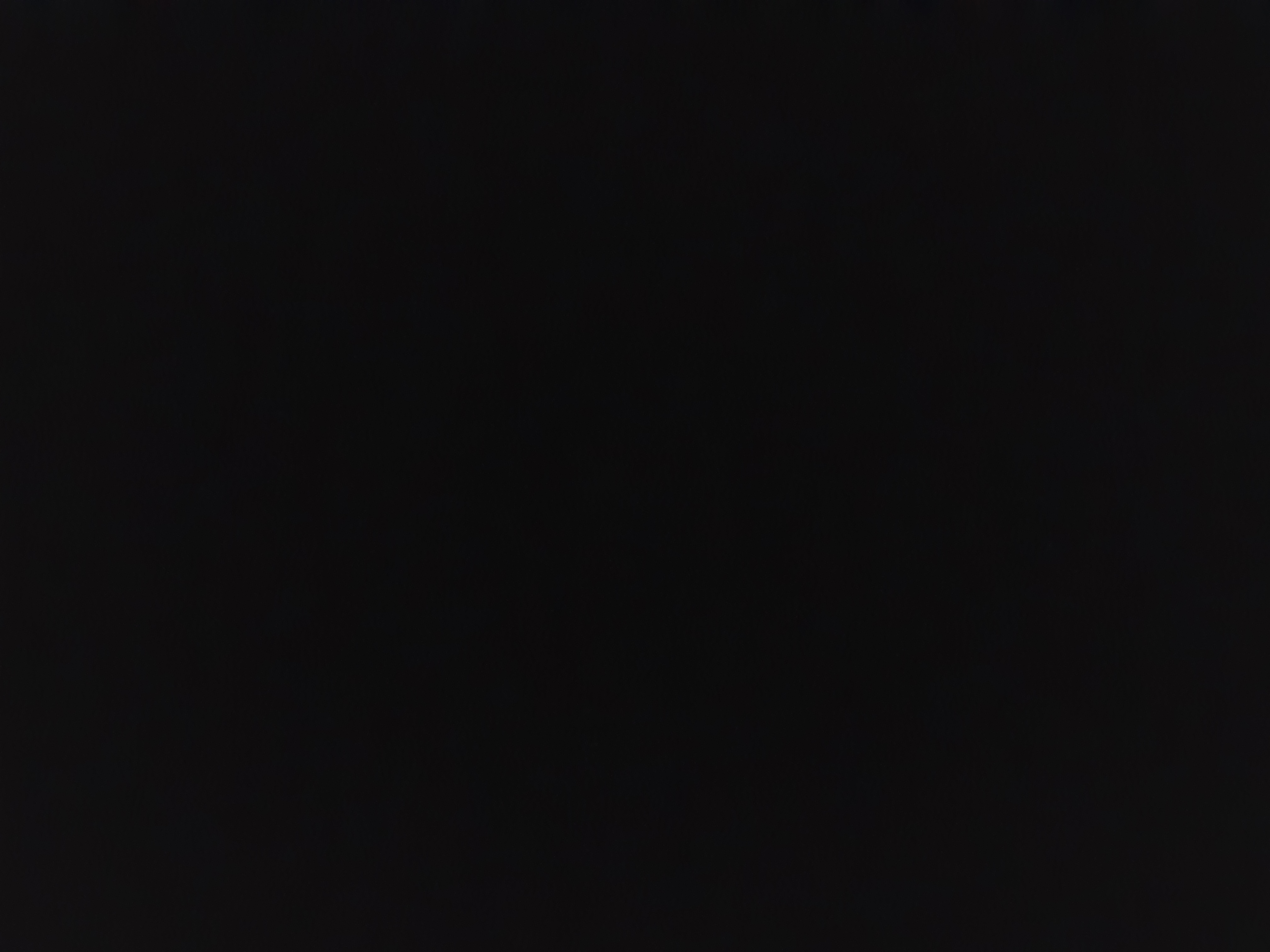 Profile picture of Loyalty