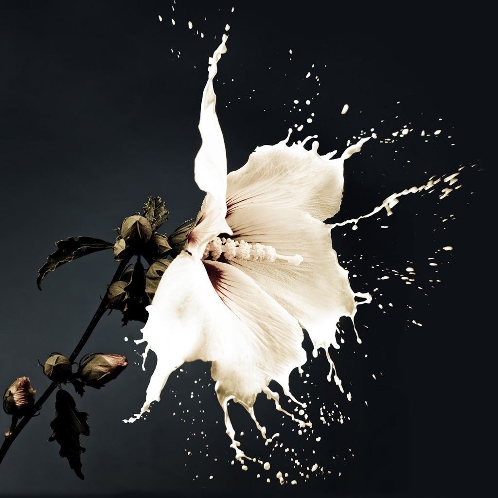 Profile picture of Salam to all