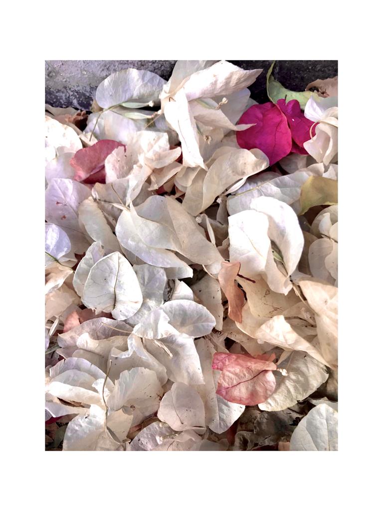 Profile picture of Sarah zia