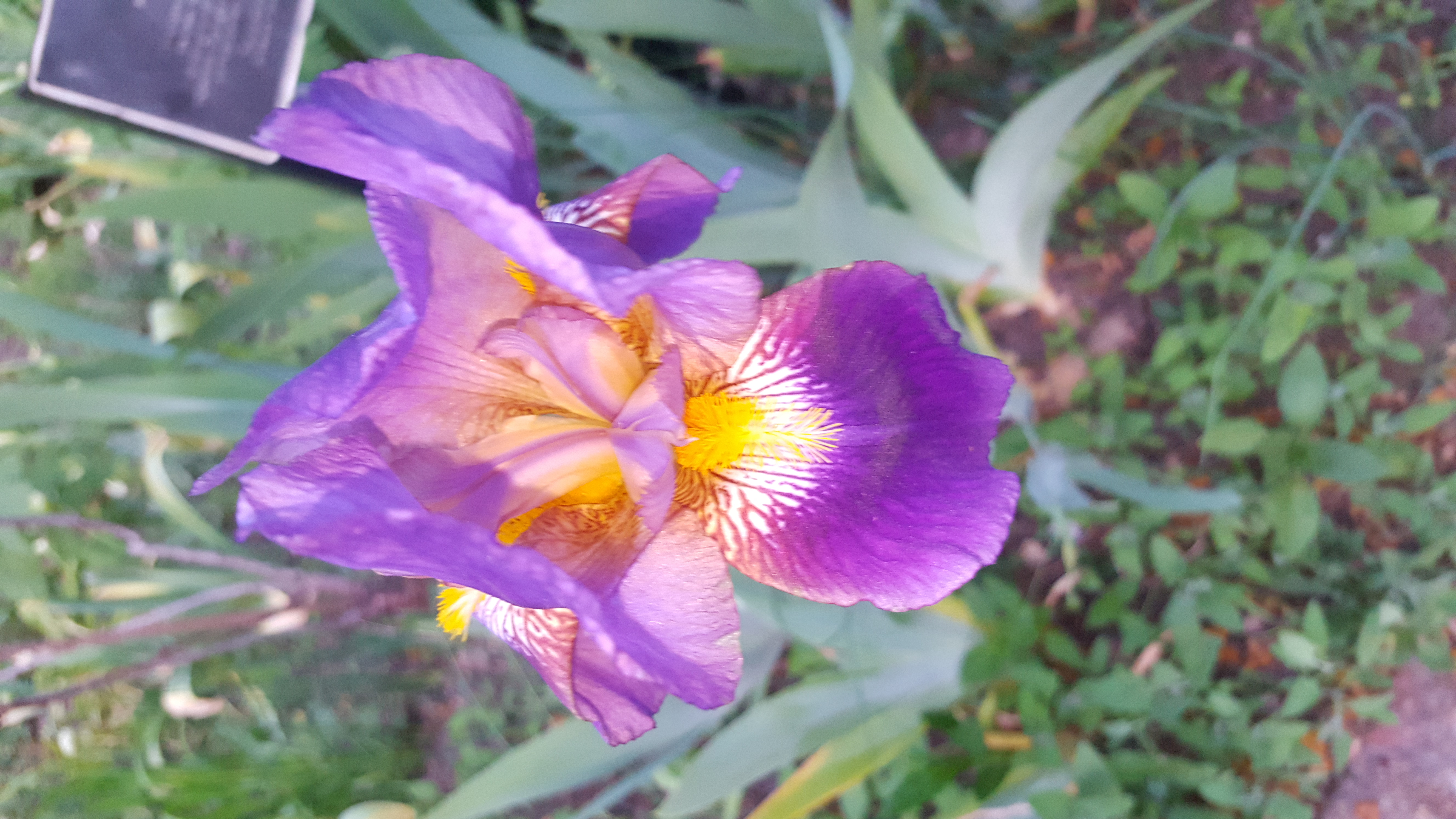 Profile picture of MQundel uk