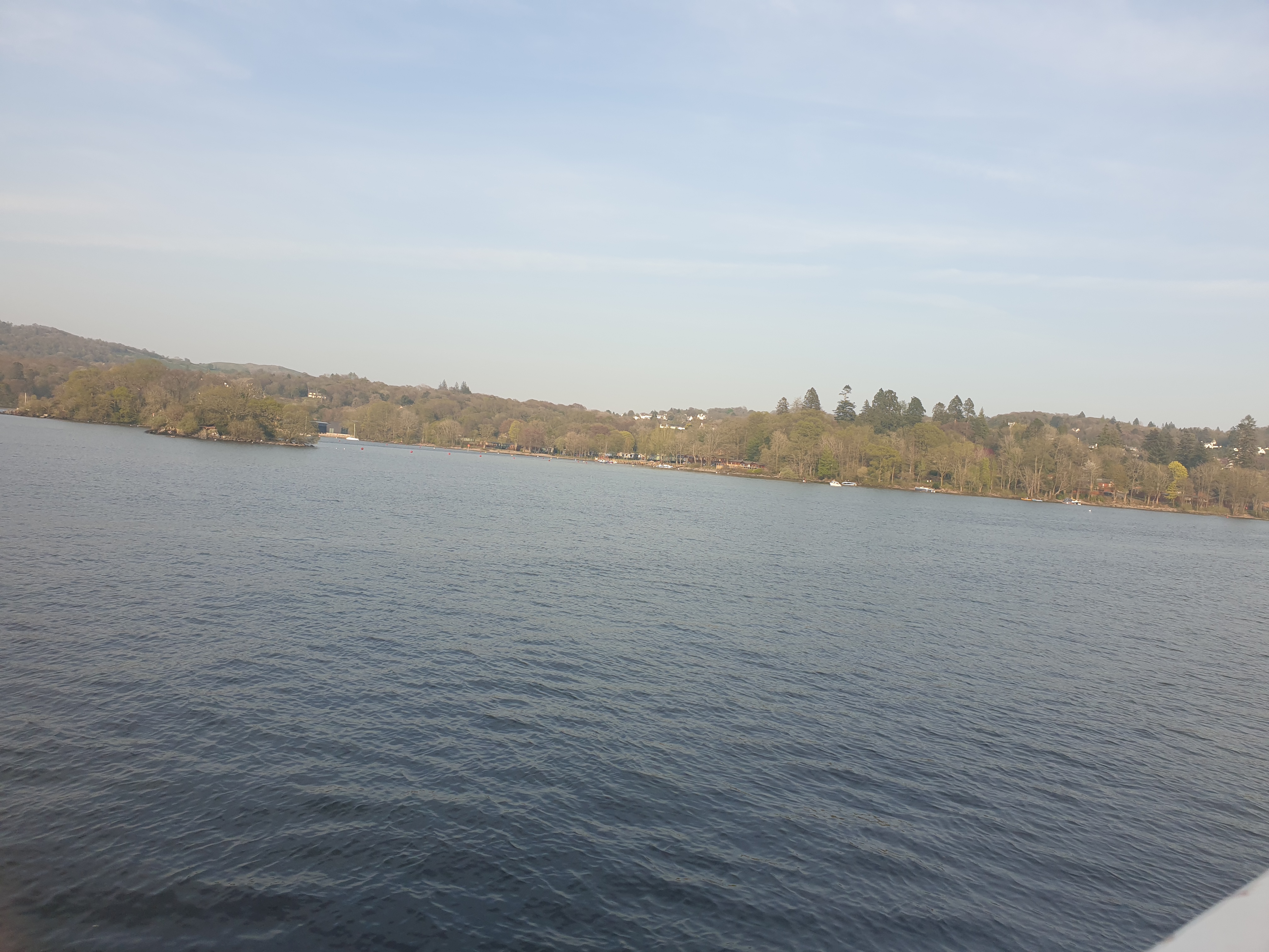 Profile picture of Looking for my friend