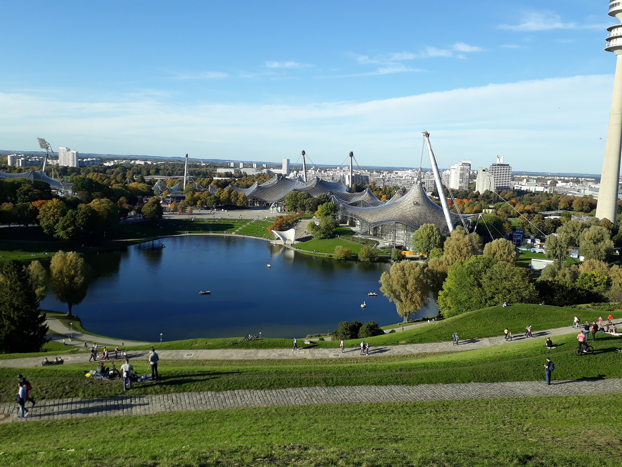 Profile picture of Muhammad Ammar