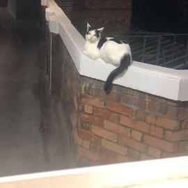 Profile picture of Miss