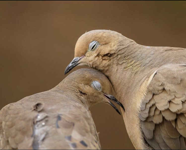 Profile picture of Doctor