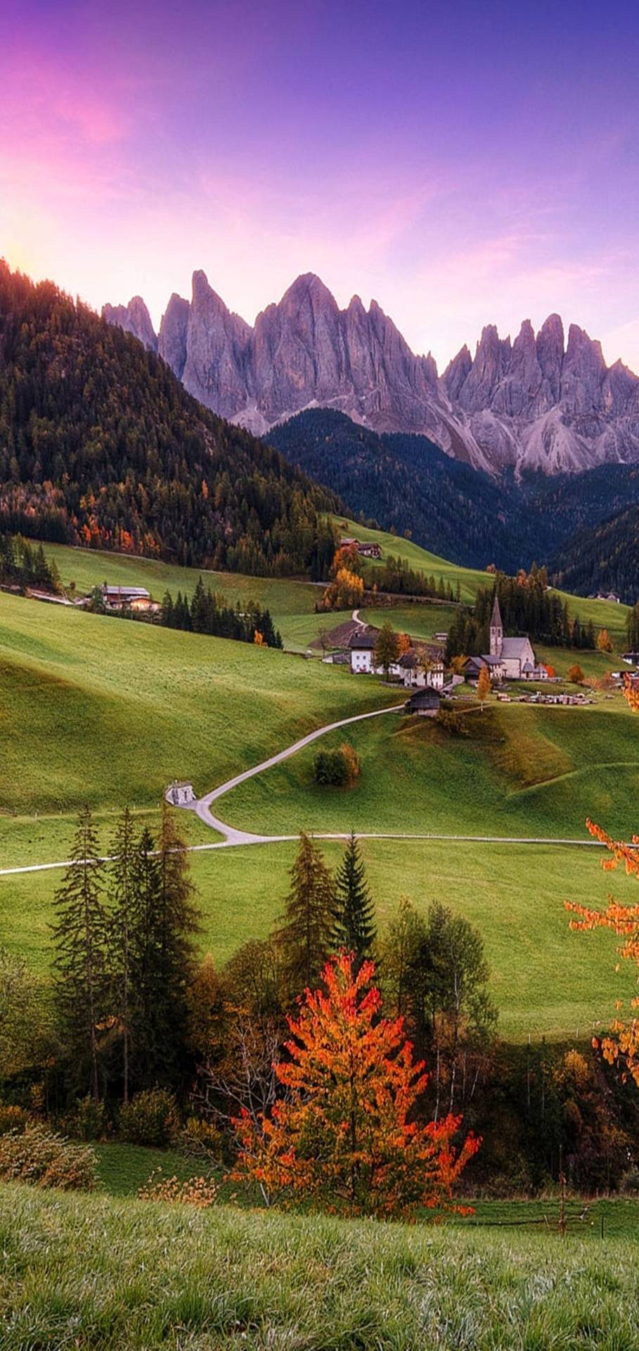 Profile picture of MA