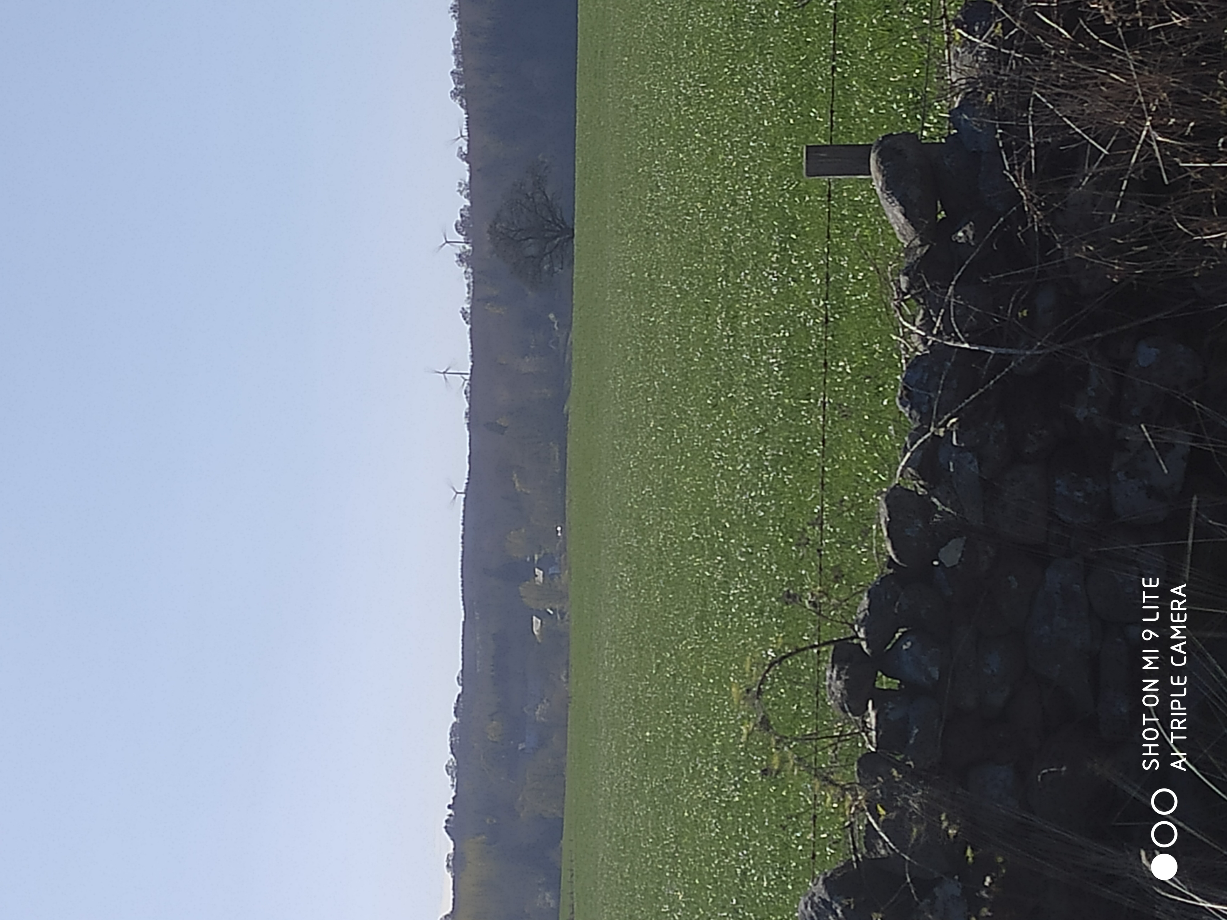 Profile picture of Deeniakh