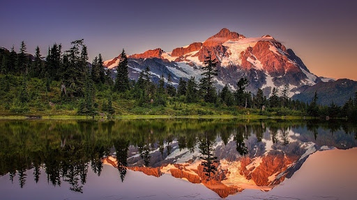 Profile picture of Imaan