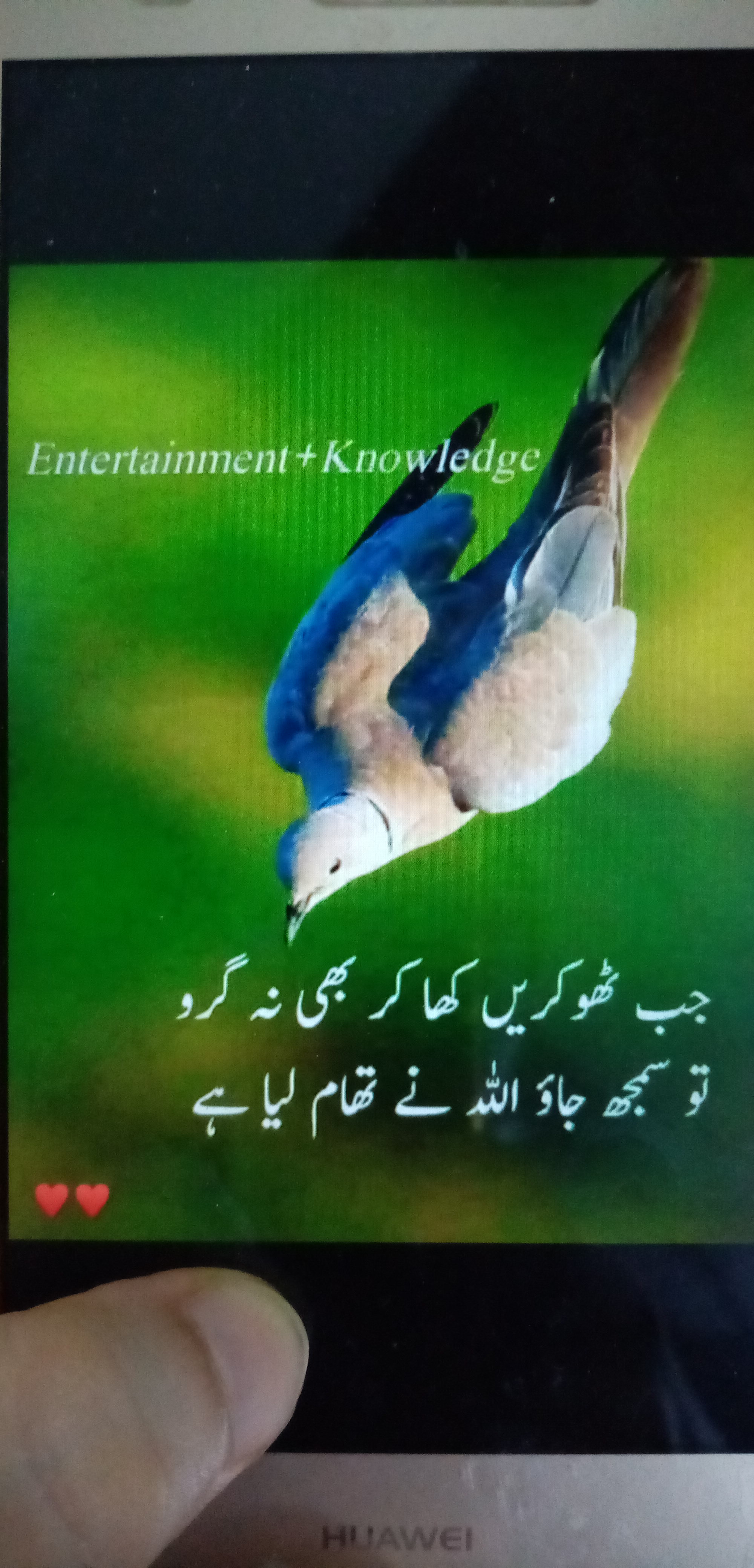 Profile picture of Nazia