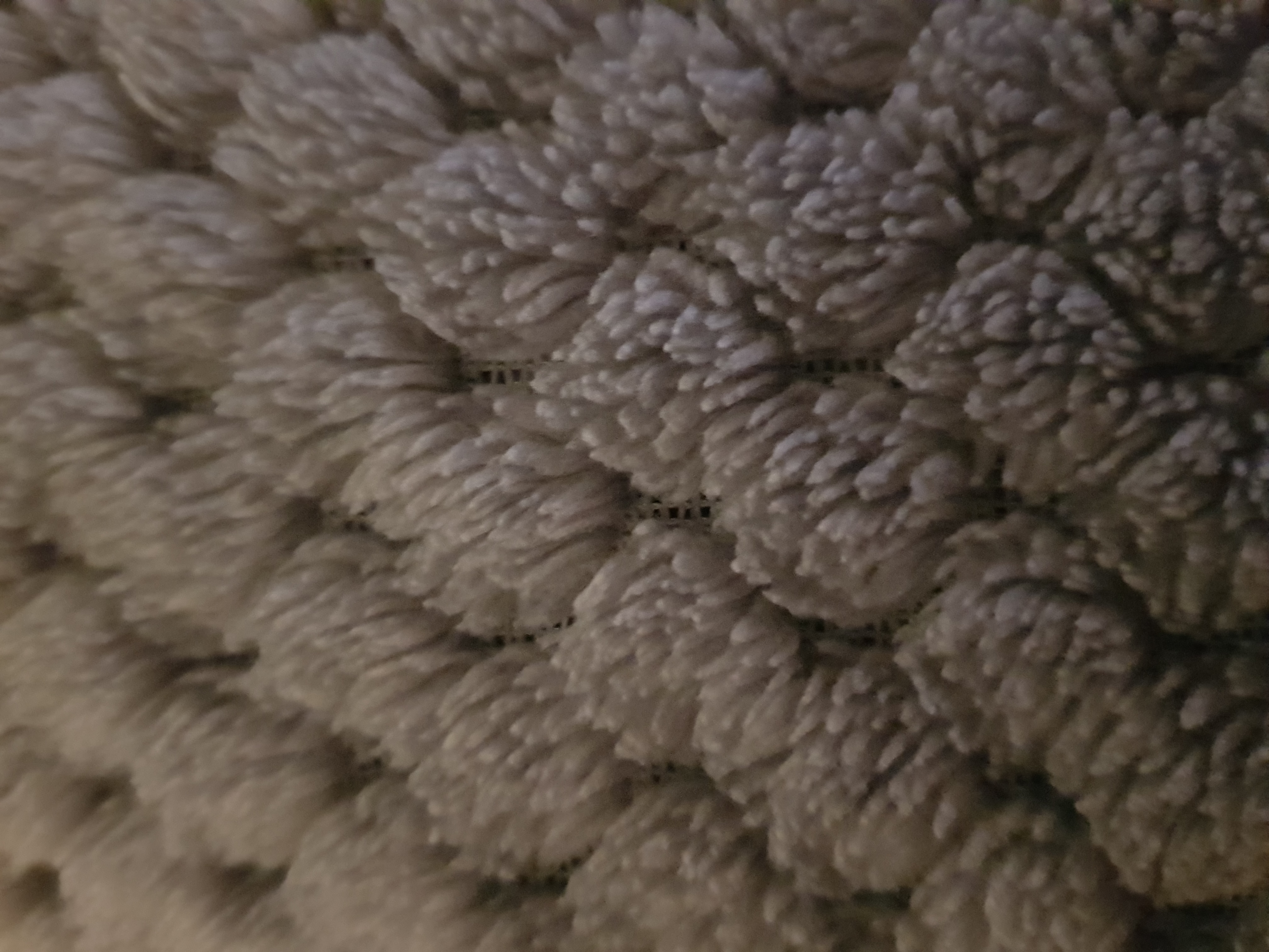 Profile picture of A