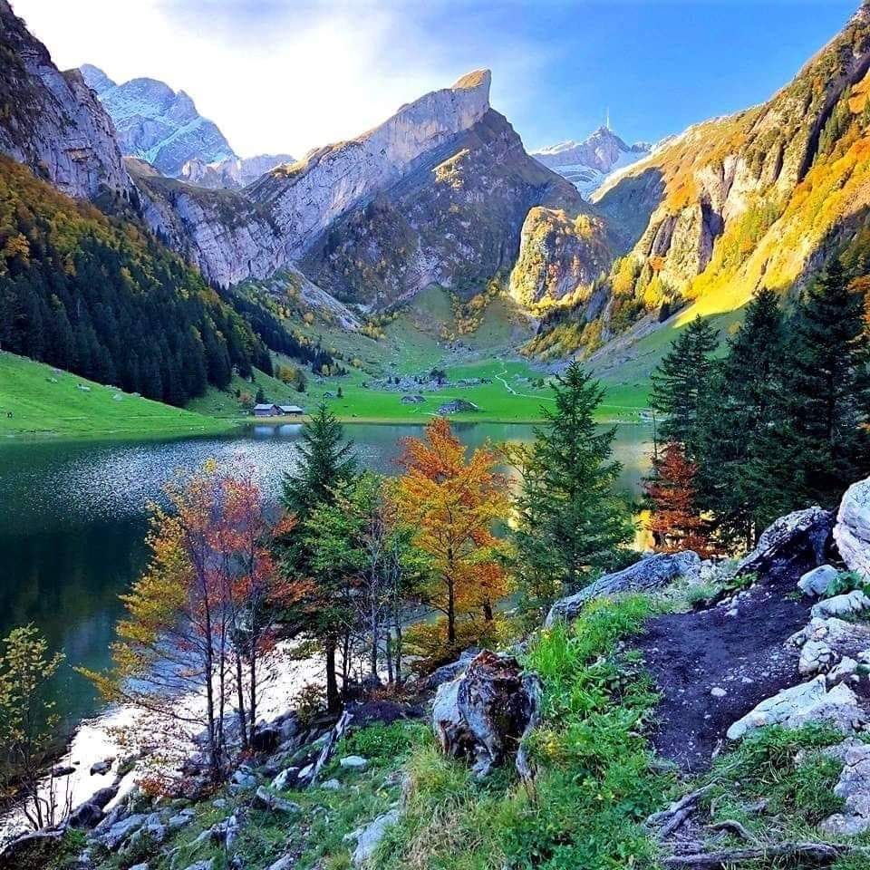 Profile picture of Lona