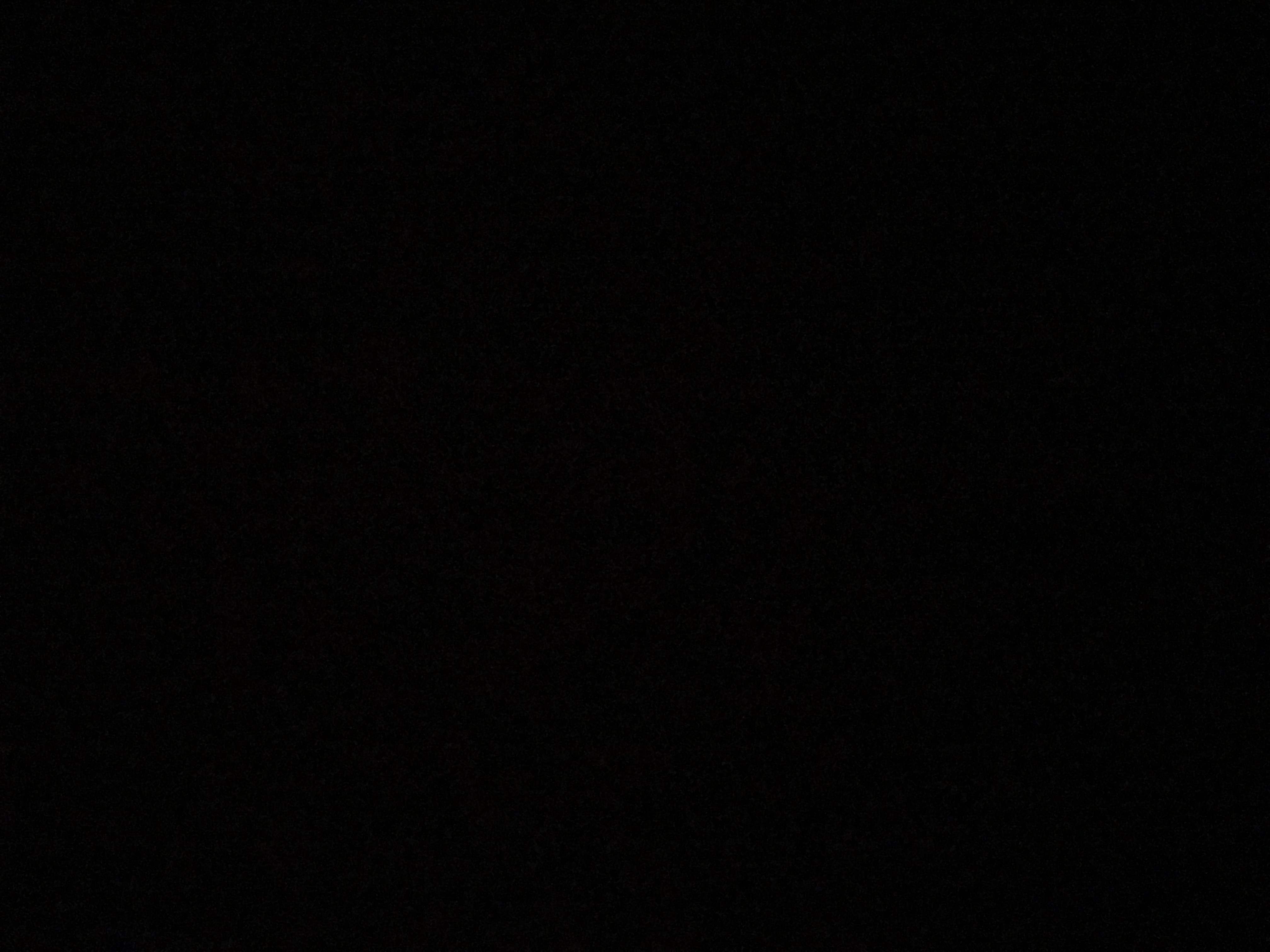 Profile picture of Accountant