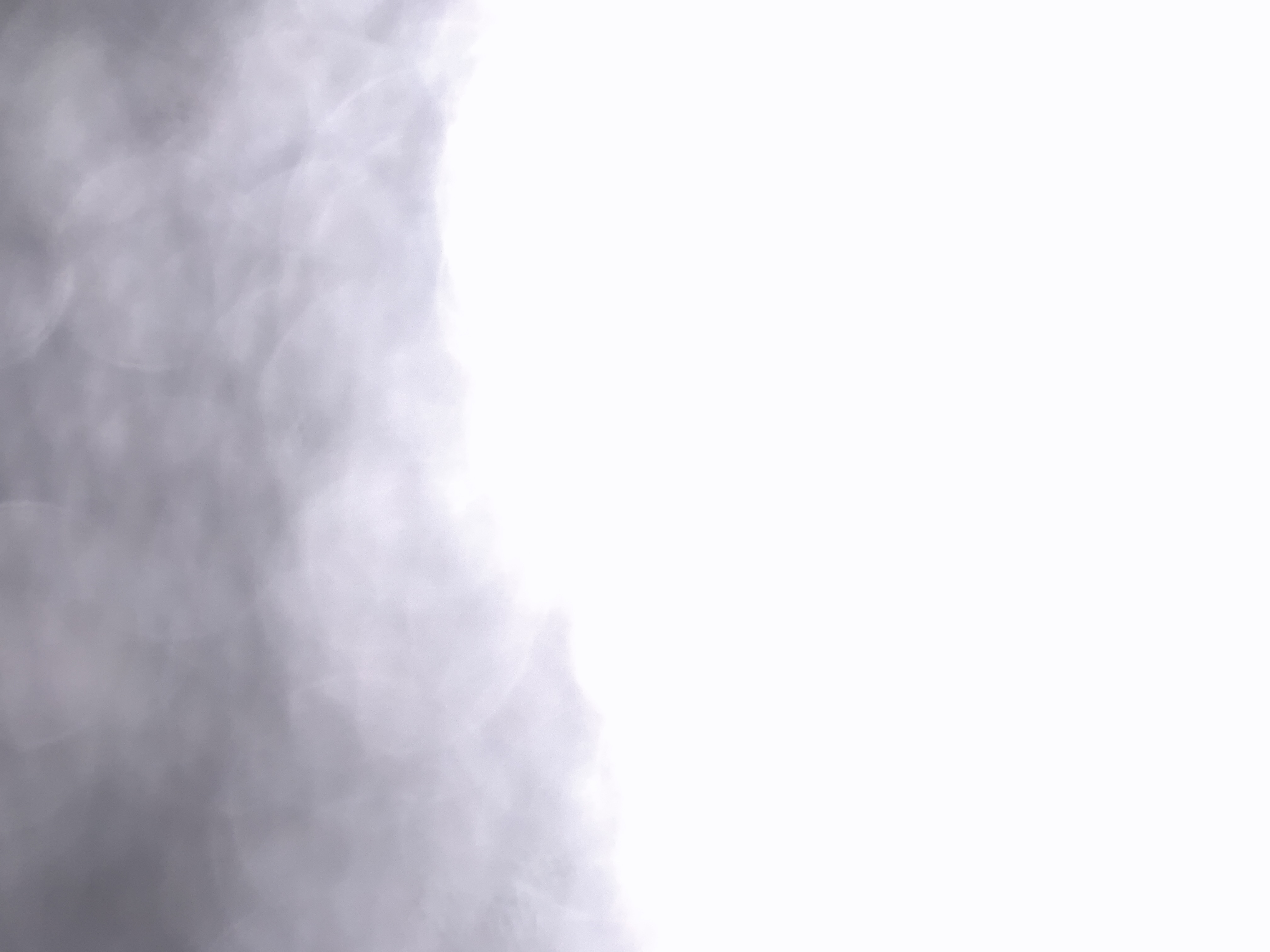 Profile picture of San