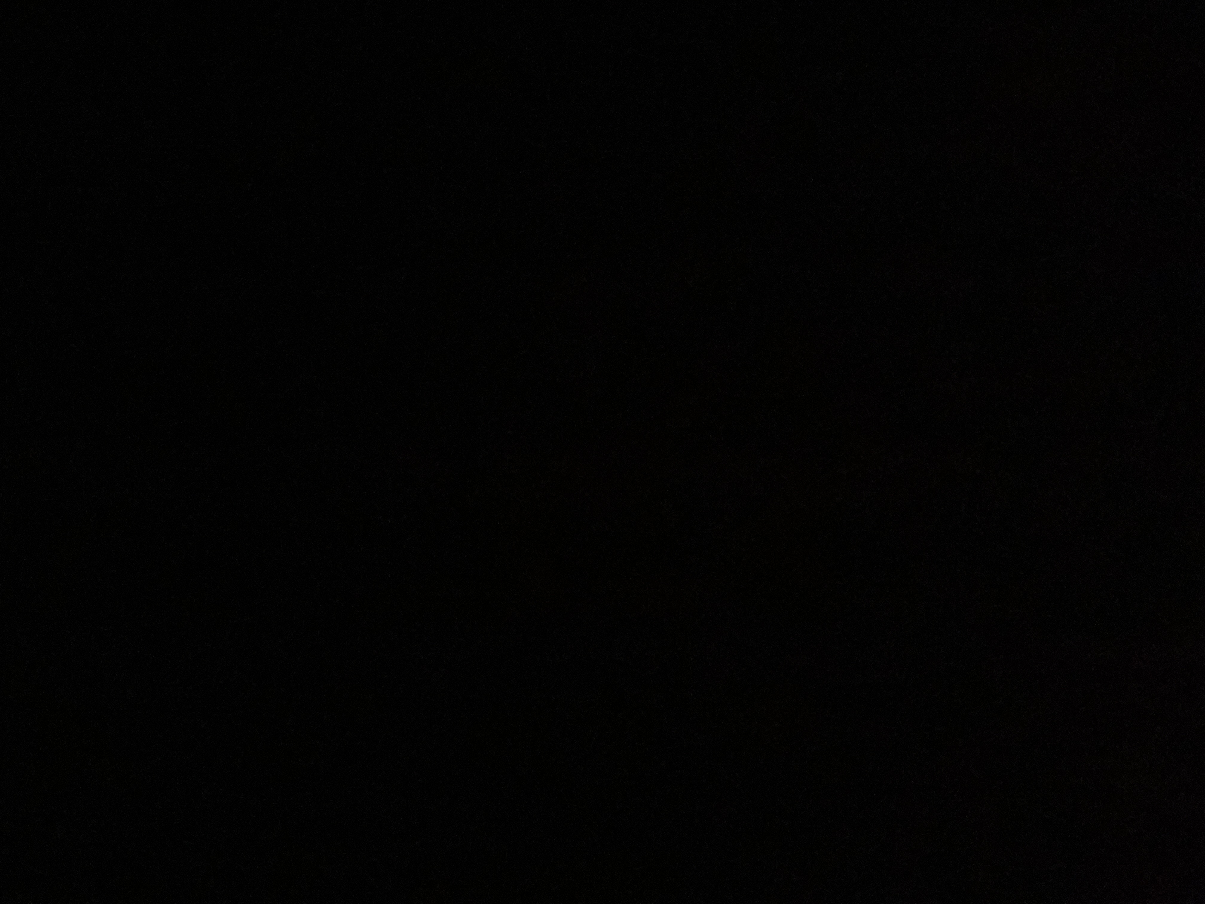Profile picture of Omar