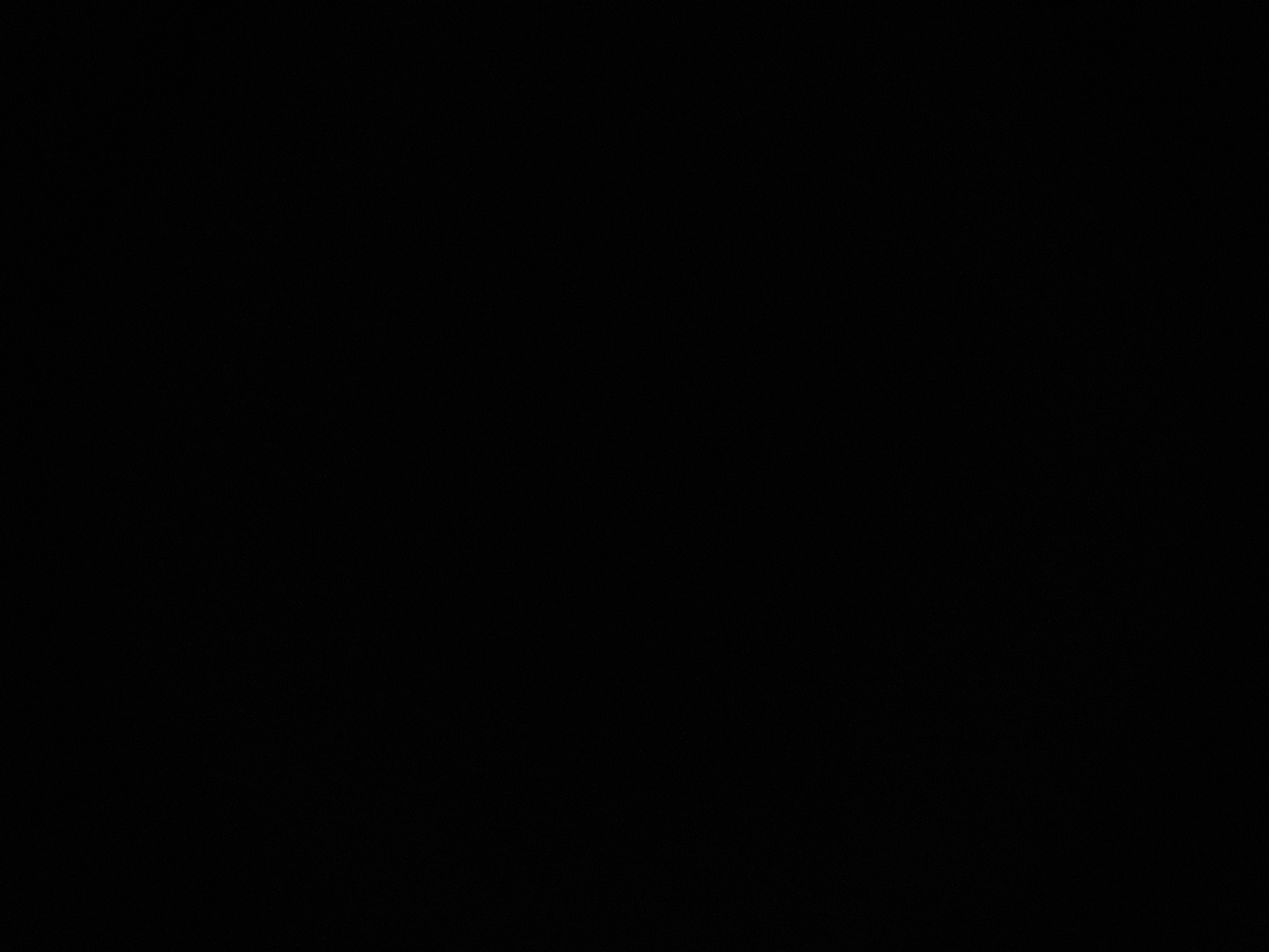 Profile picture of Miss