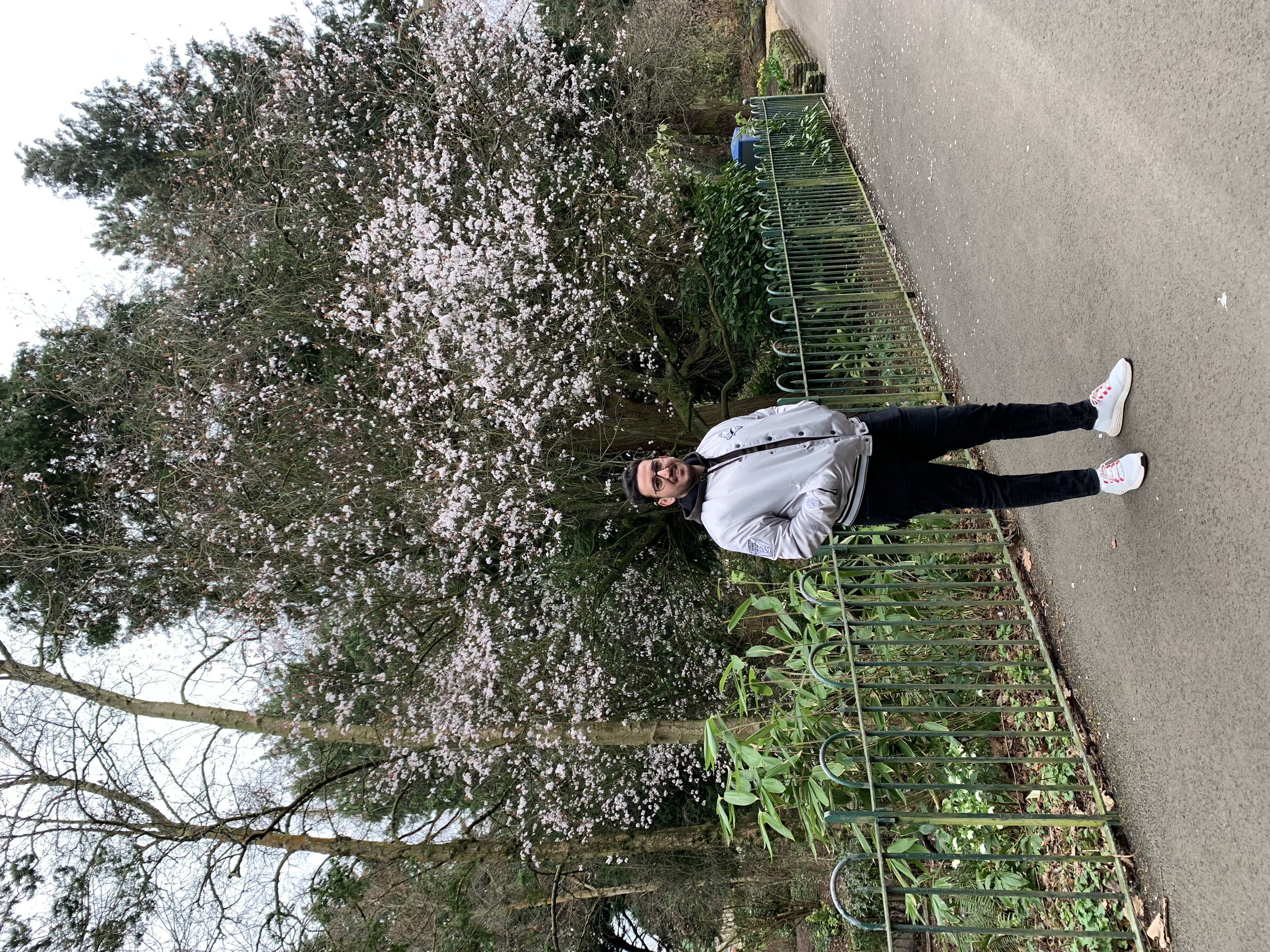 Profile picture of Yahya bel