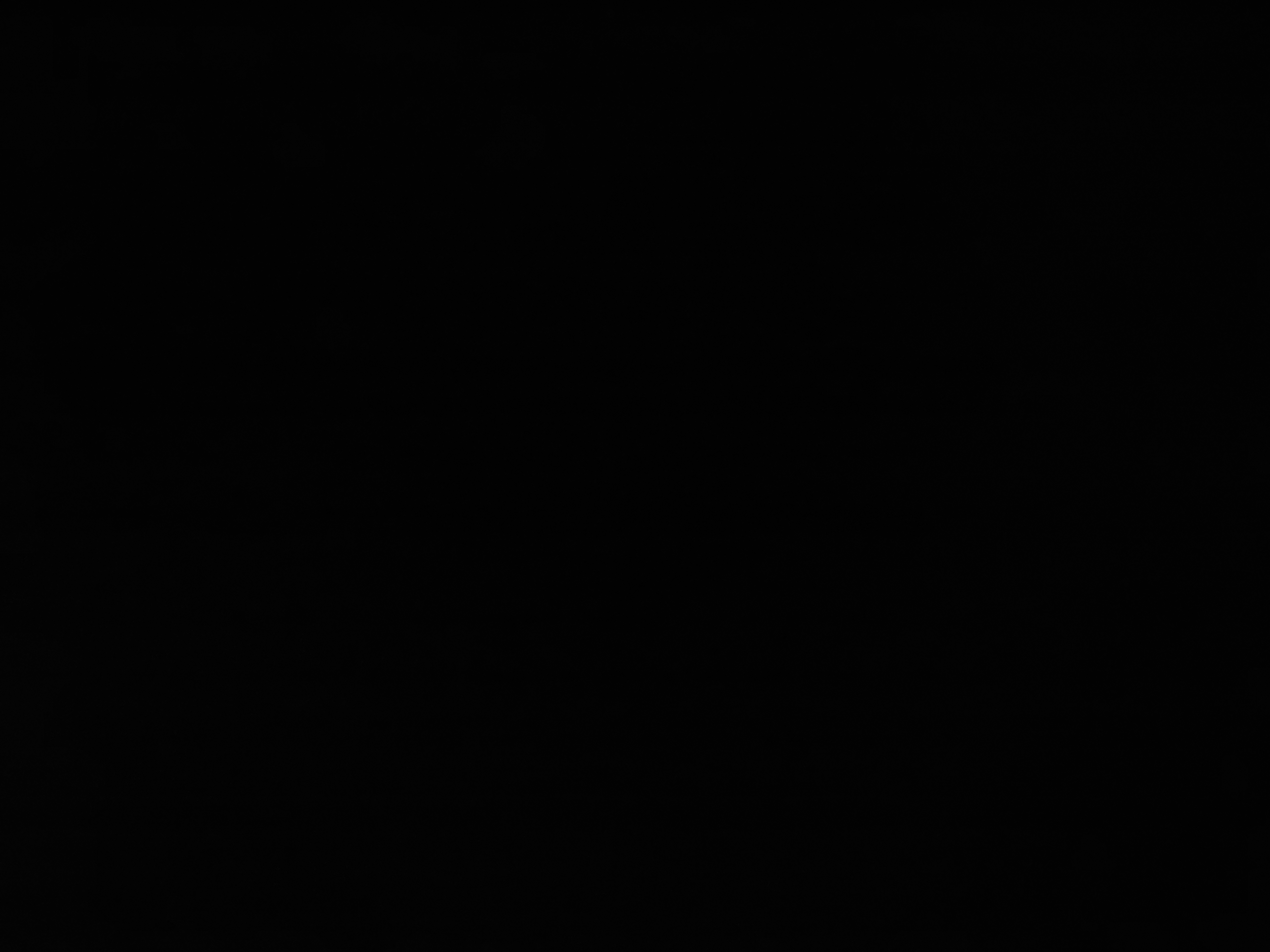 Profile picture of Rifat Hussain